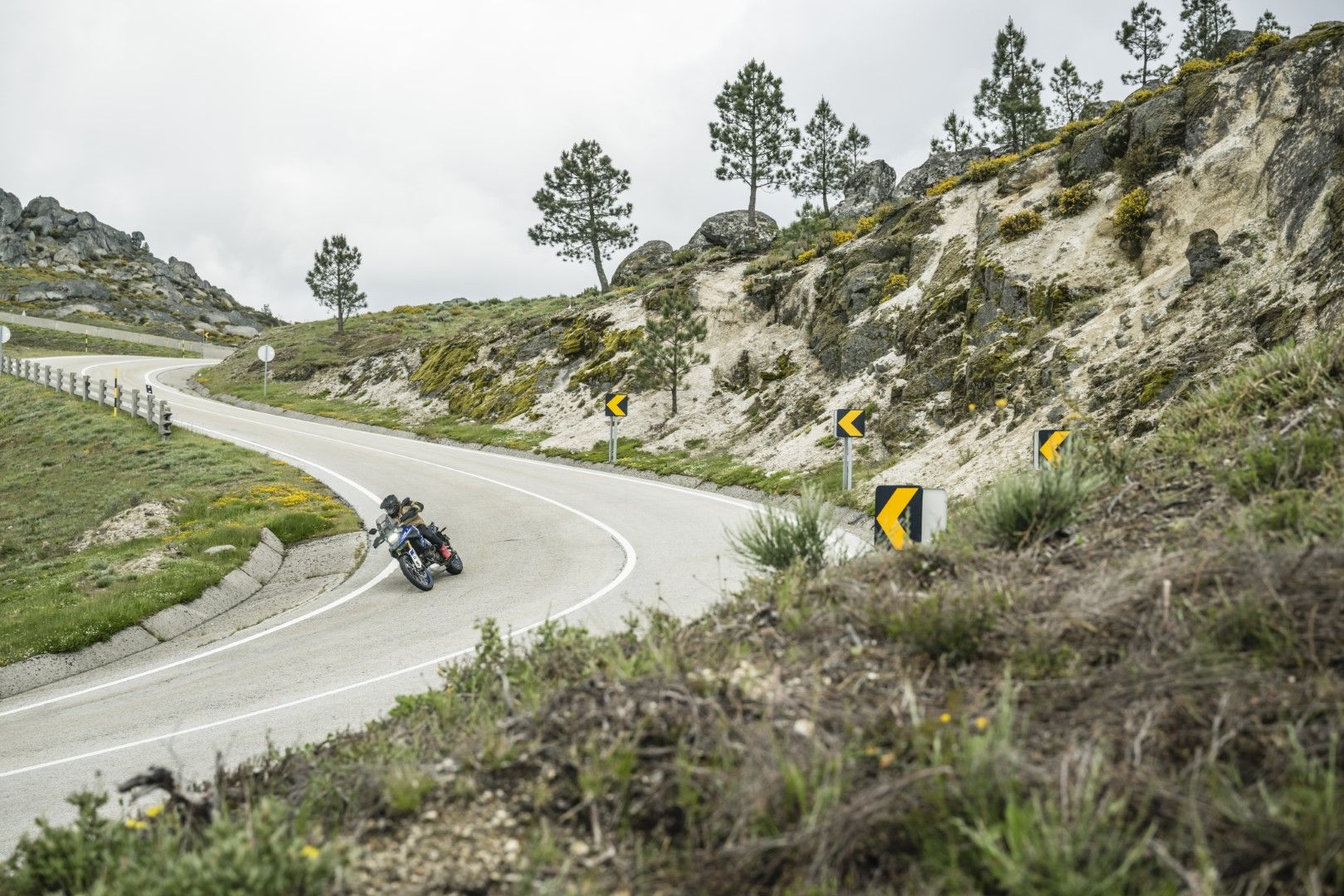 Fotos Gama Bridgestone Battlax Adventure 41