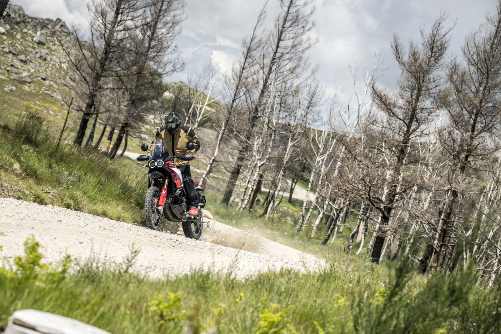 Fotos Gama Bridgestone Battlax Adventure 41