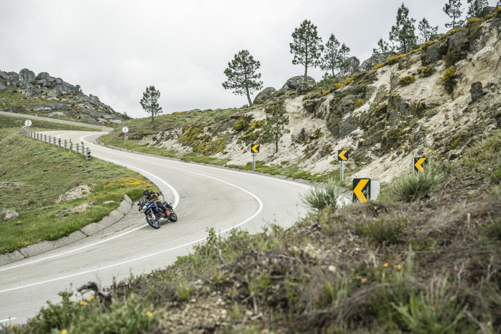 Fotos Gama Bridgestone Battlax Adventure 41
