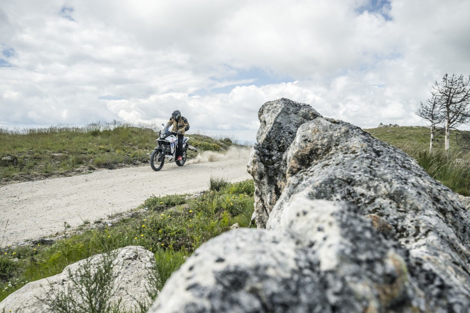 Fotos Gama Bridgestone Battlax Adventure 41