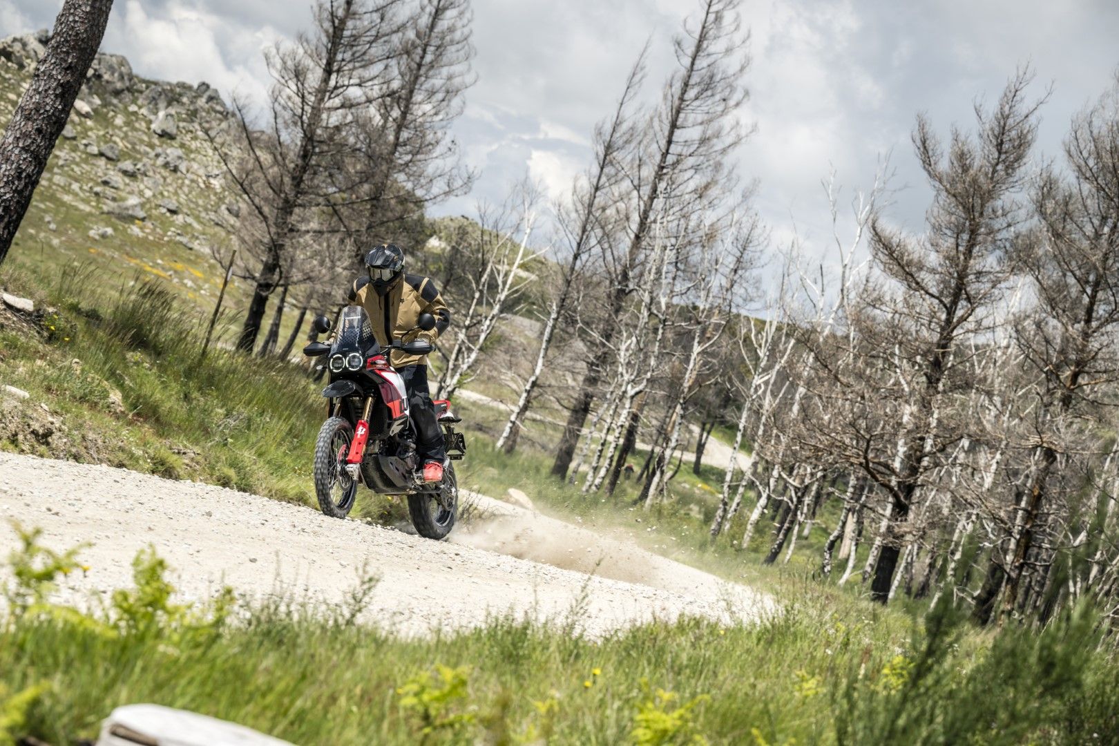 Fotos Gama Bridgestone Battlax Adventure 41