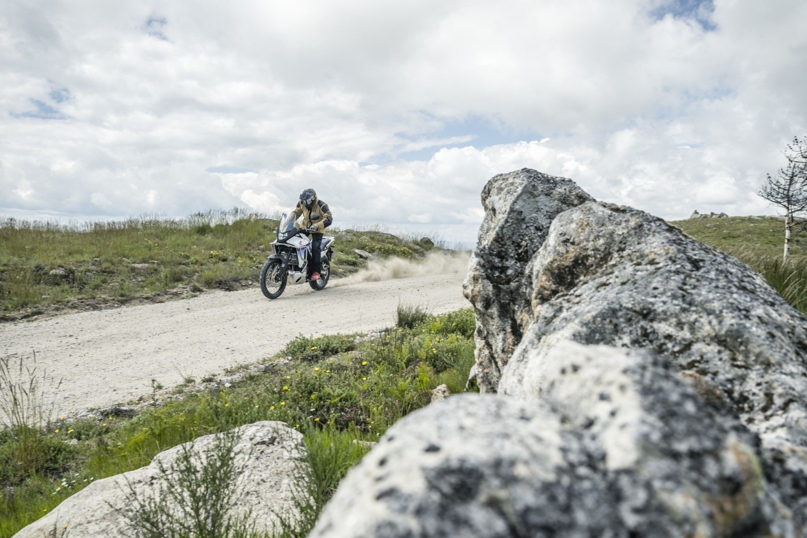 Fotos Gama Bridgestone Battlax Adventure 41