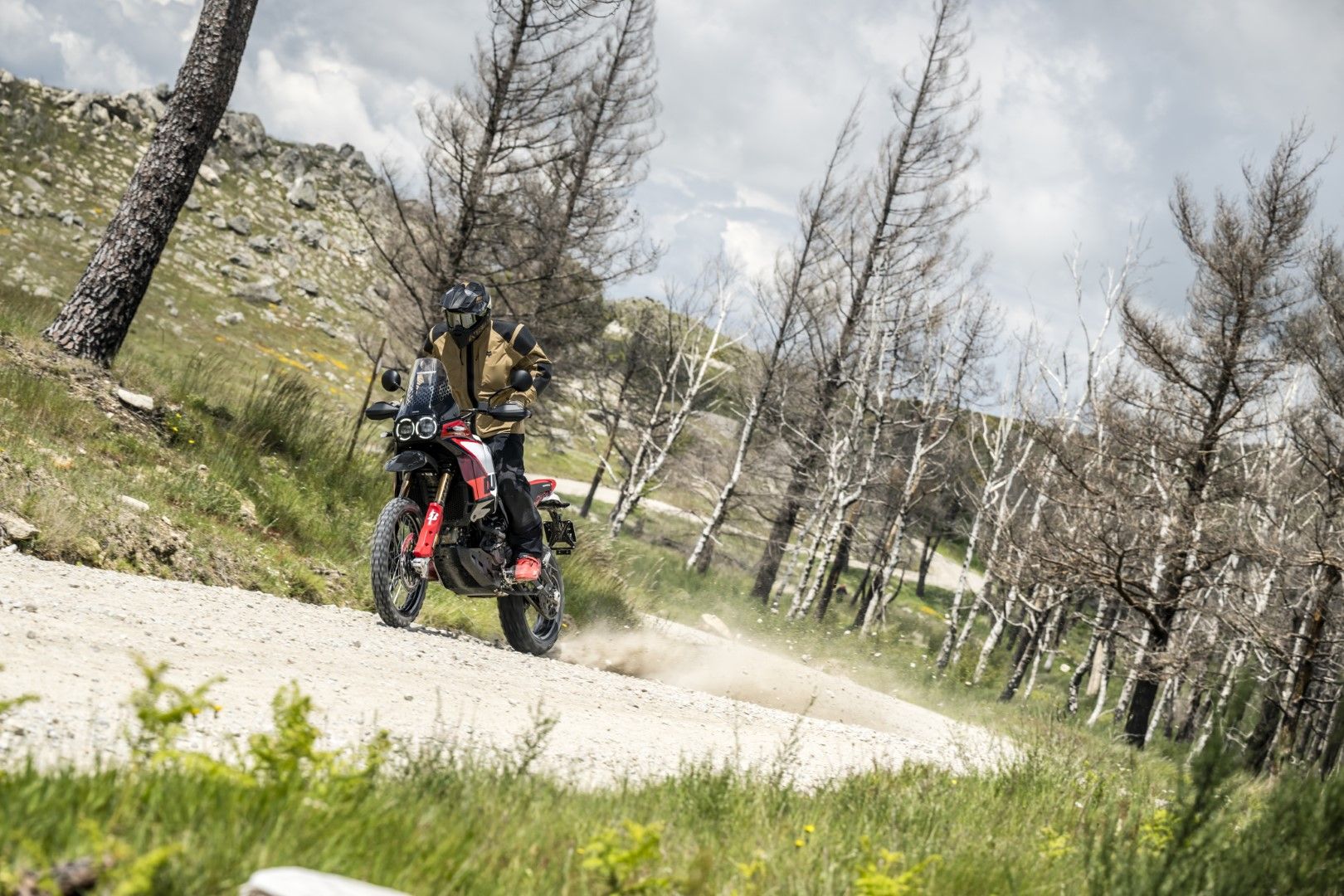 Fotos Gama Bridgestone Battlax Adventure 41