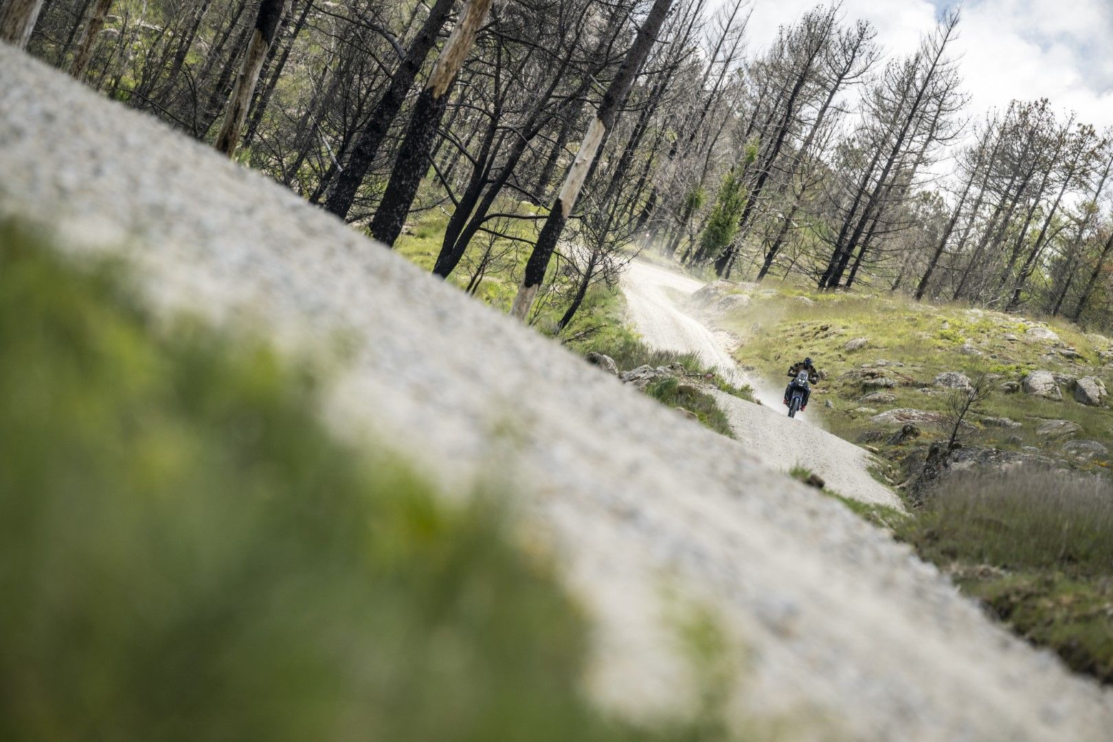 Fotos Gama Bridgestone Battlax Adventure 41