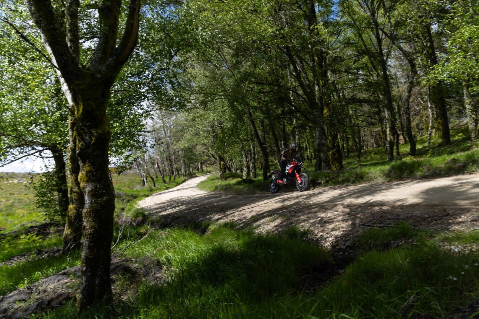 Fotos Gama Bridgestone Battlax Adventure 41
