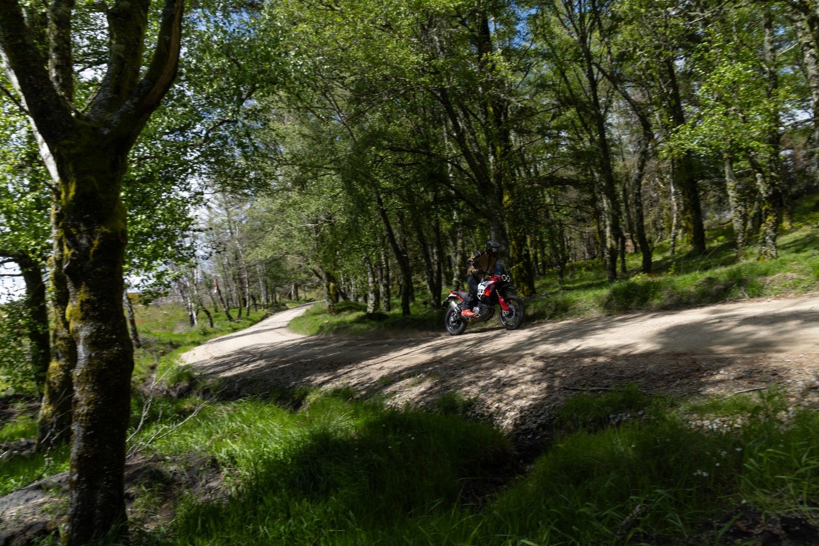 Fotos Gama Bridgestone Battlax Adventure 41