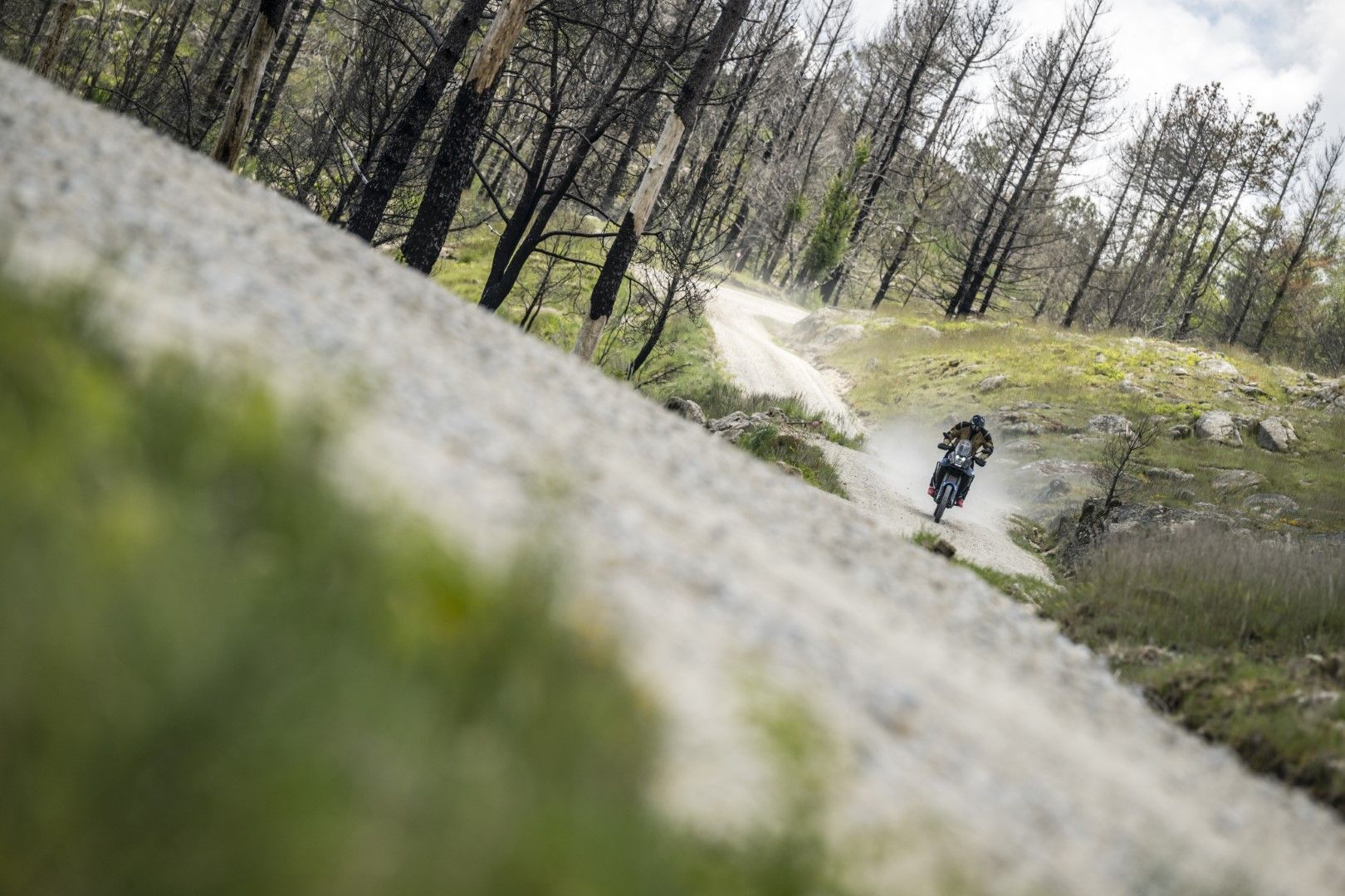 Fotos Gama Bridgestone Battlax Adventure 41