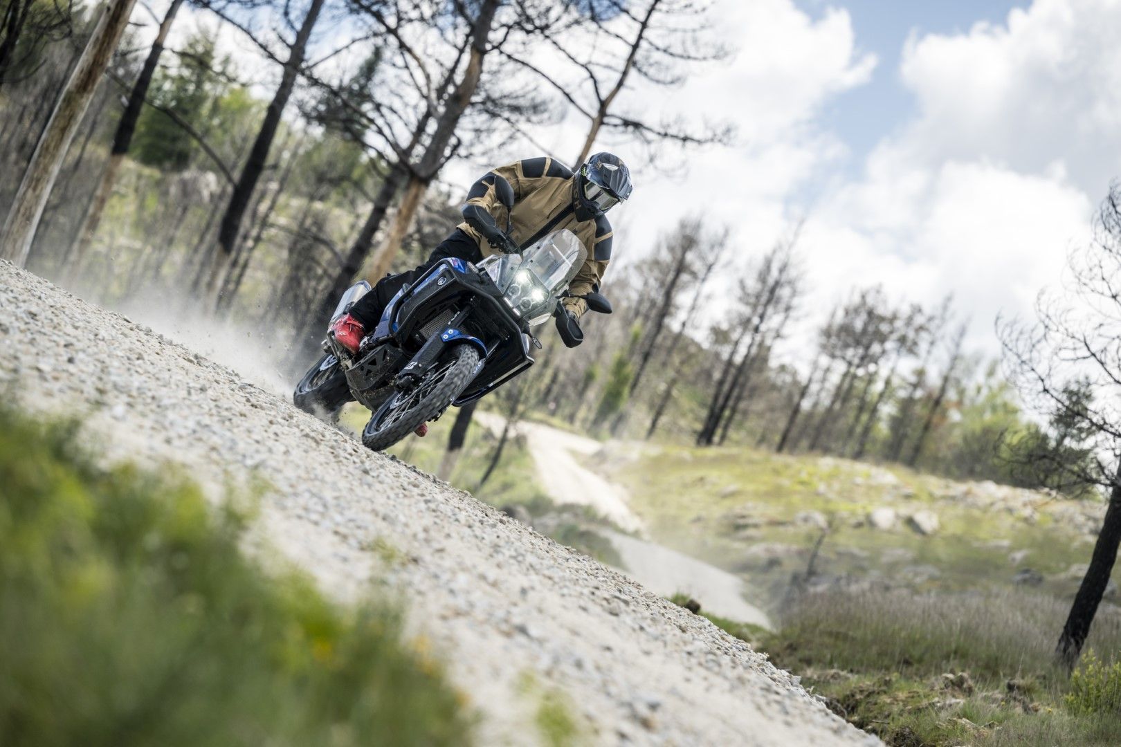 Fotos Gama Bridgestone Battlax Adventure 41