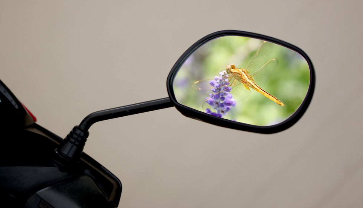 Consejos para lidiar con los insectos al conducir en la moto