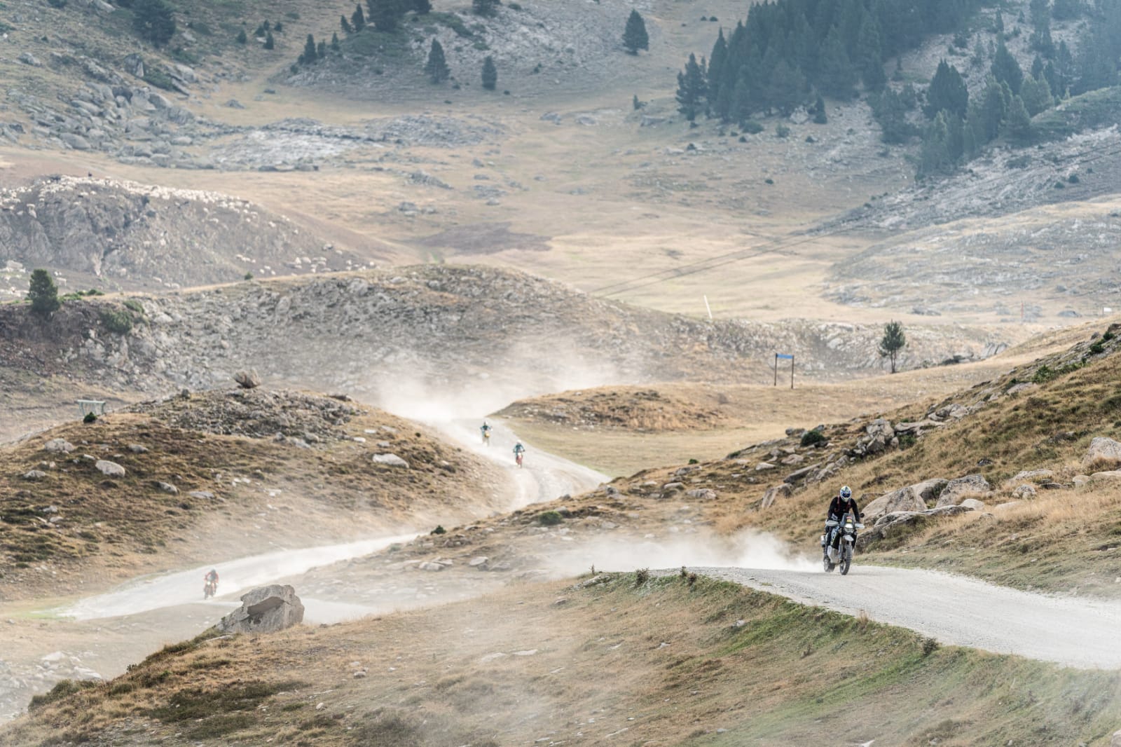 Rodibook 2024. La gran ruta motera, por campo y carretera, supera los 1.400 participantes