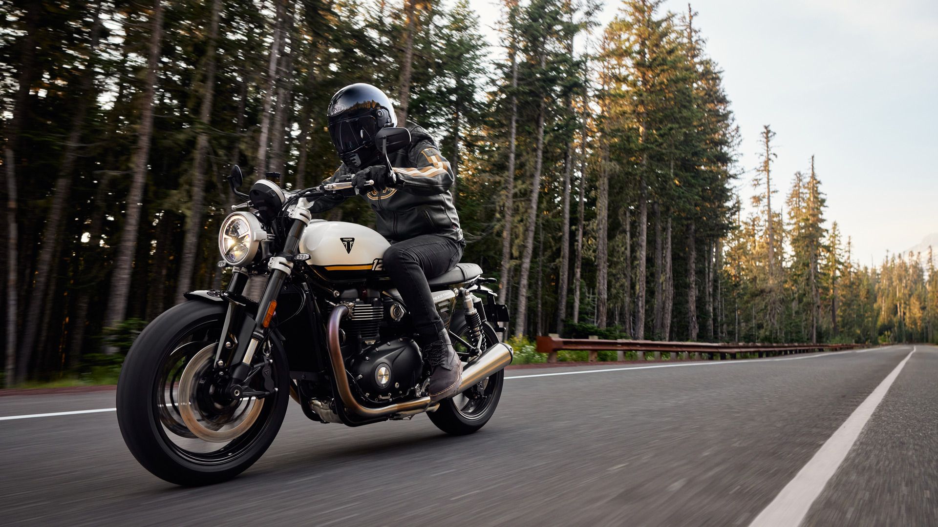 Triumph Speed Twin 1200 2025 Detalles (8)