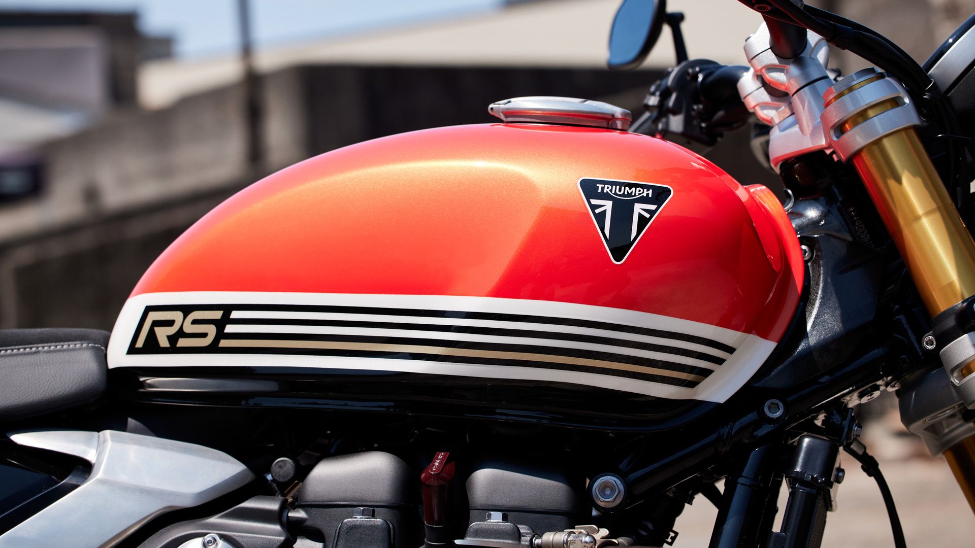 Triumph Speed Twin 1200 2025 RS Detalles (4)