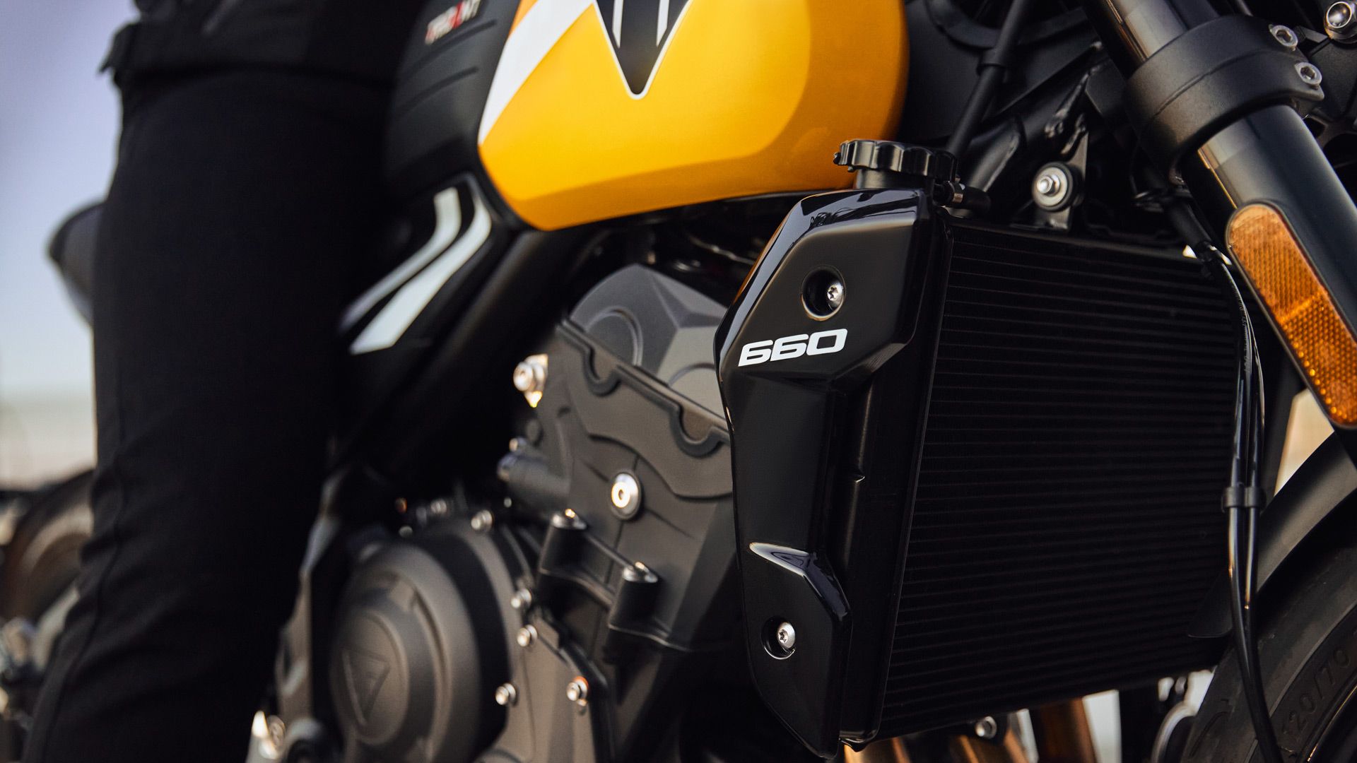 Triumph Trident 660 2025 Detalles (6)