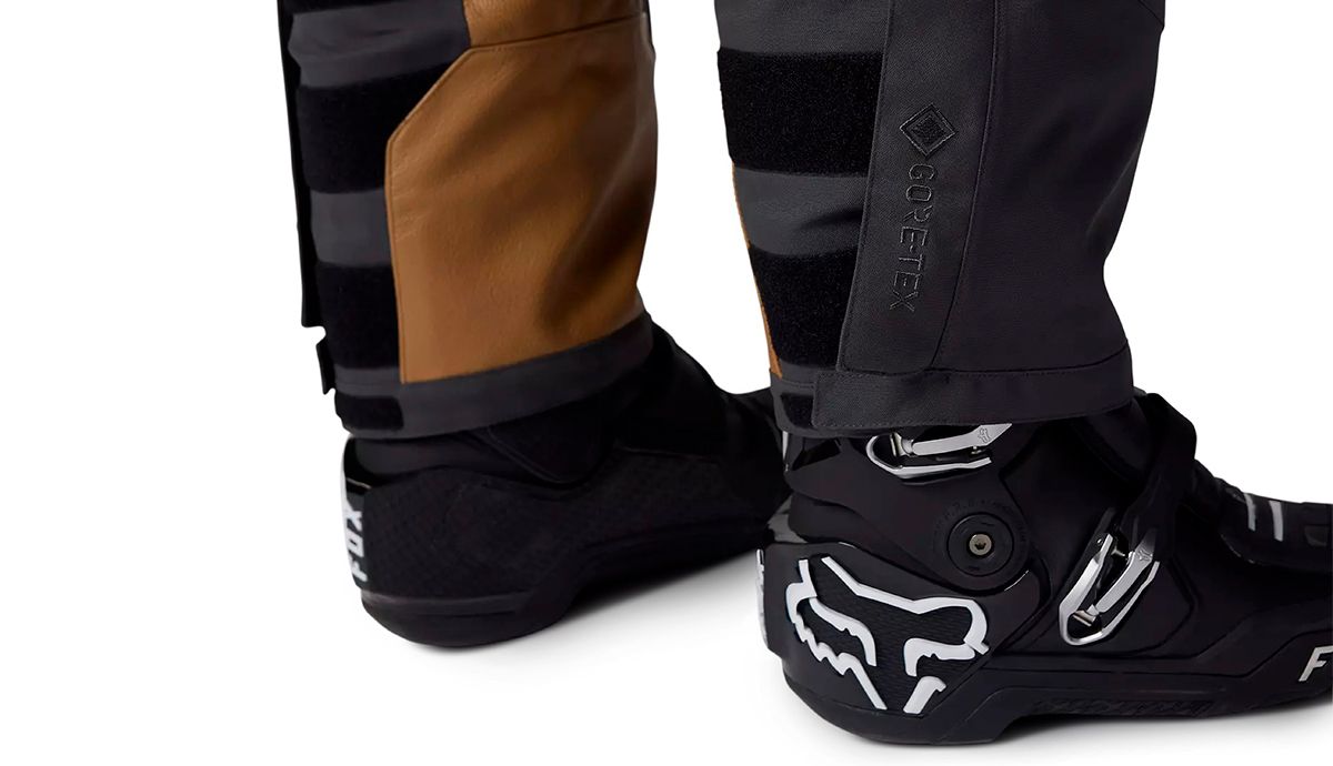 Gama FOX Adventure (28)