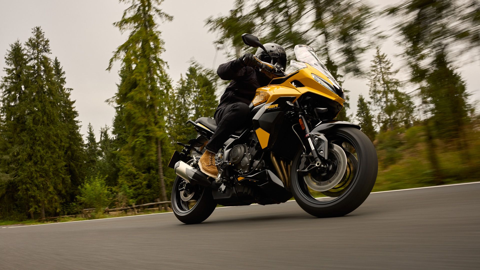 Triumph Tiger Sport 800 2025 Accion (5)