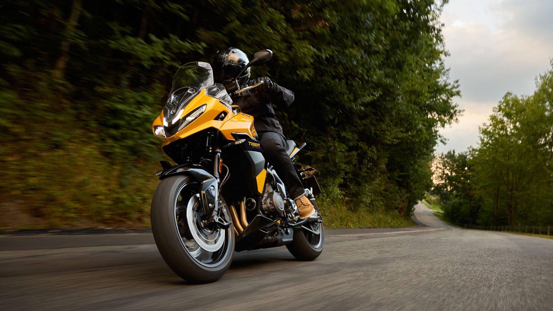 Triumph Tiger Sport 800 2025 Accion (7)