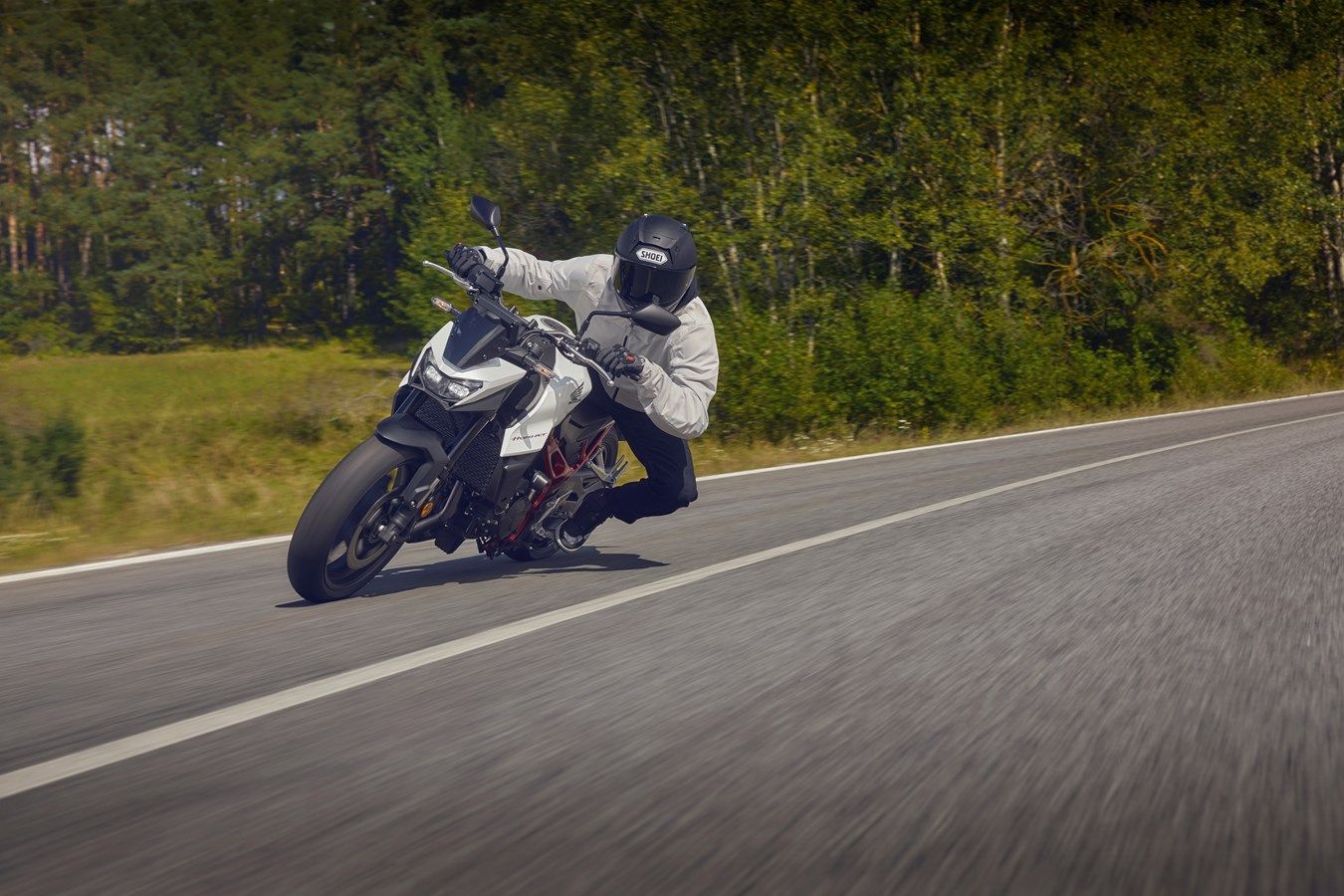Honda CB750 Hornet 2025, la naked afila el aguijón