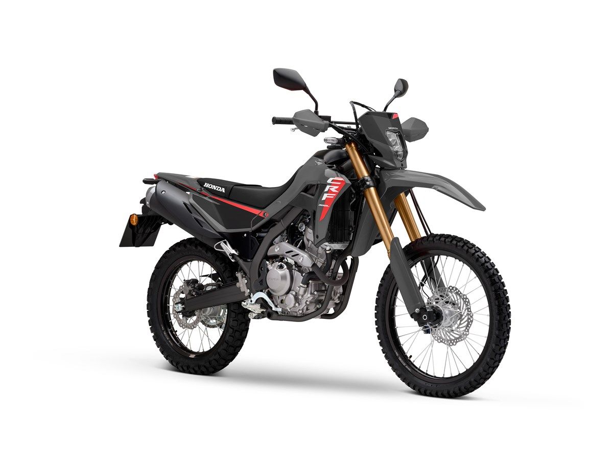 Honda CRF300L 2025 perfil (7)