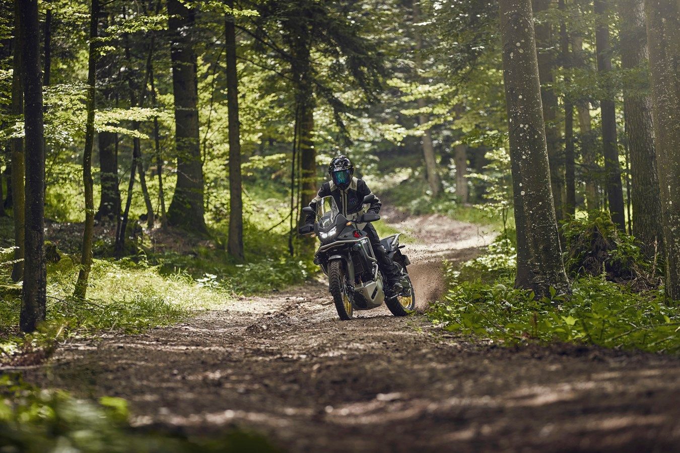 Honda XL750 Transalp 2025 accion (7)