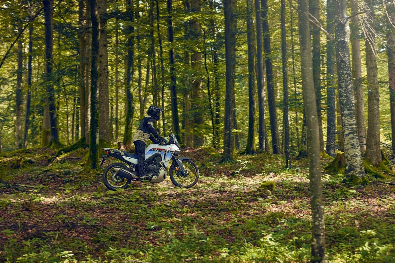 Honda XL750 Transalp 2025 accion (29)