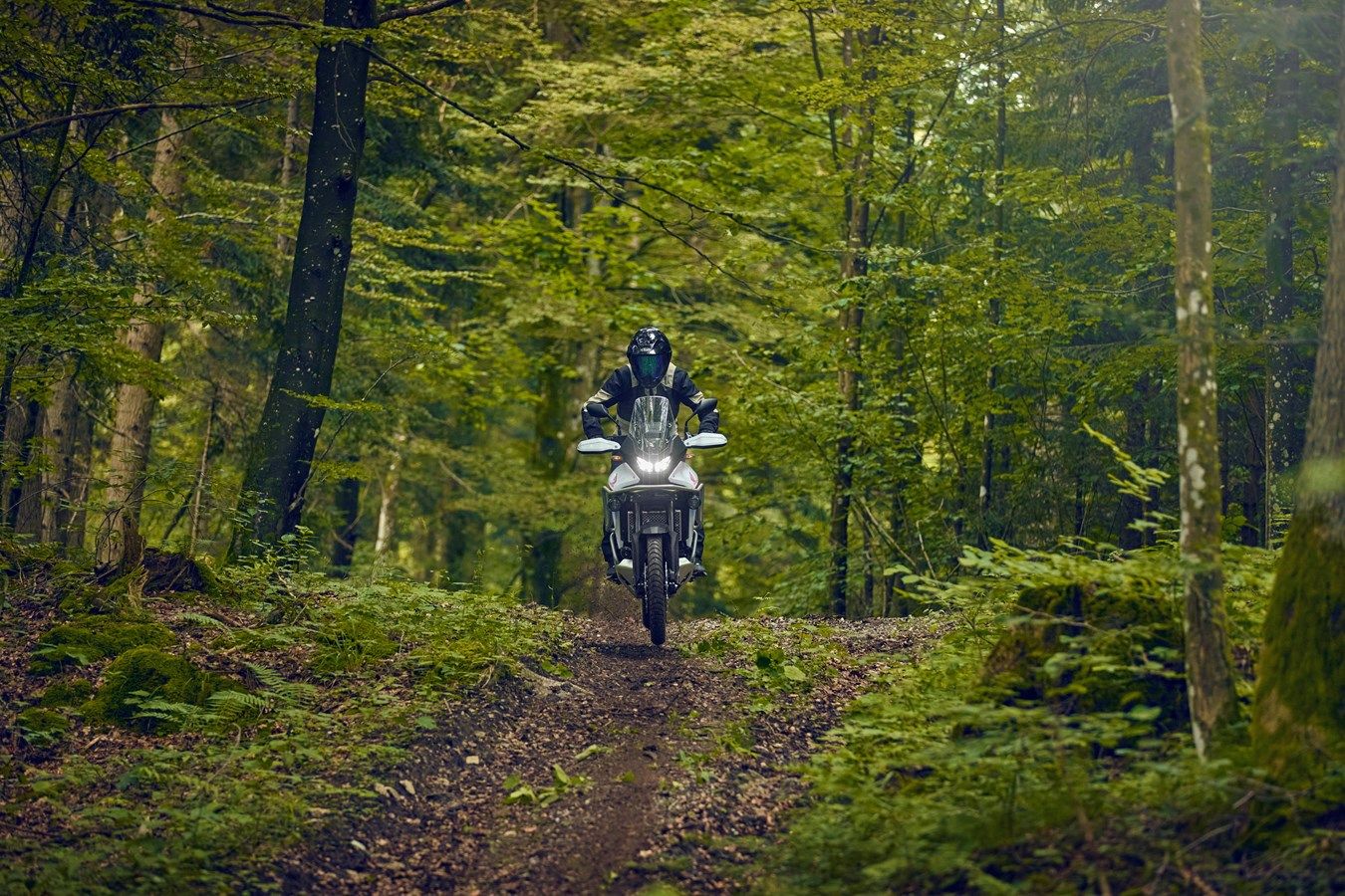 Honda XL750 Transalp 2025 accion (32)