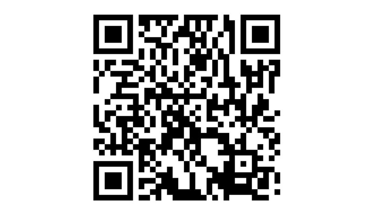 WhatsApp Image 2024 11 15 at 10.54.33