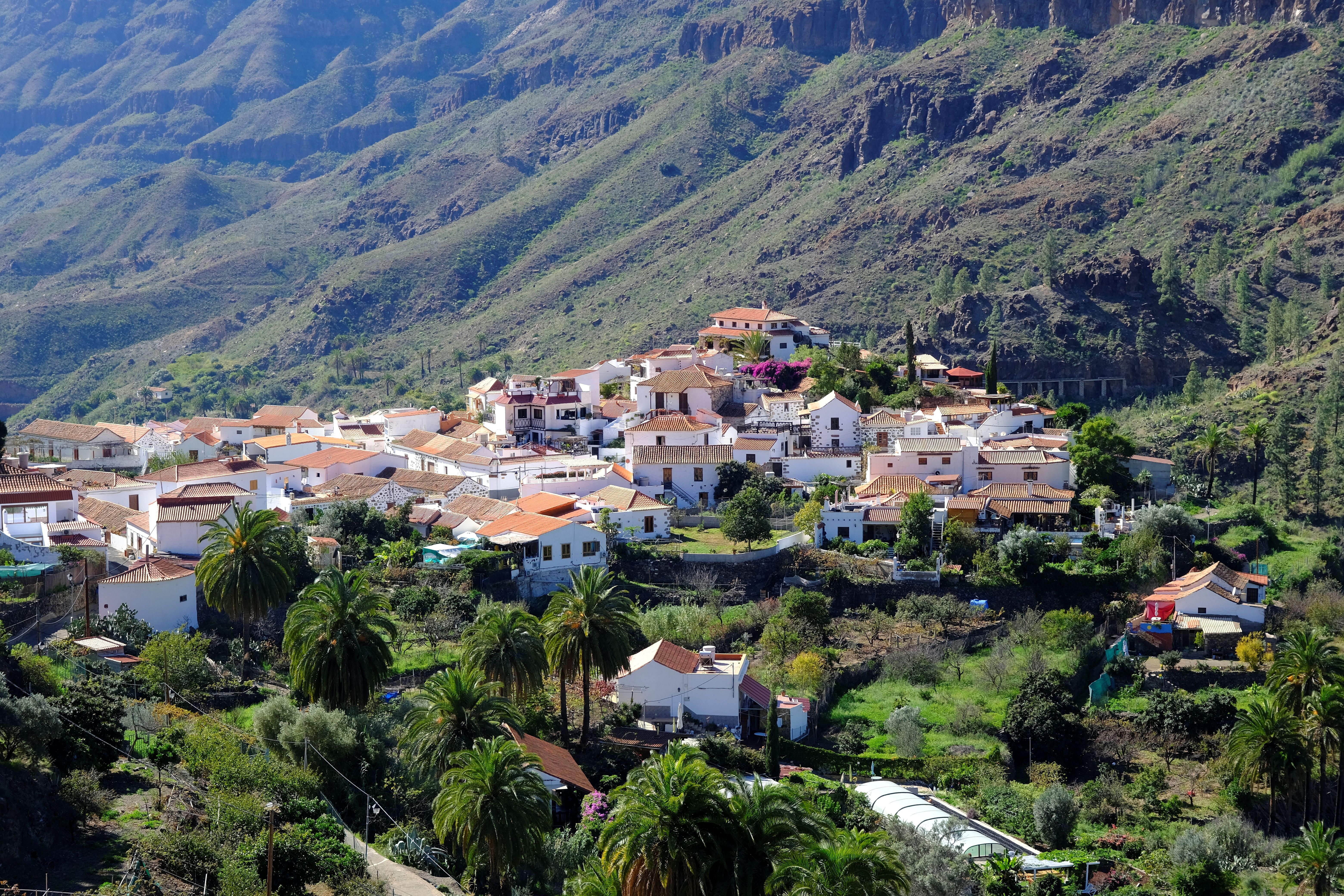 Viaje Gran Canaria (1)