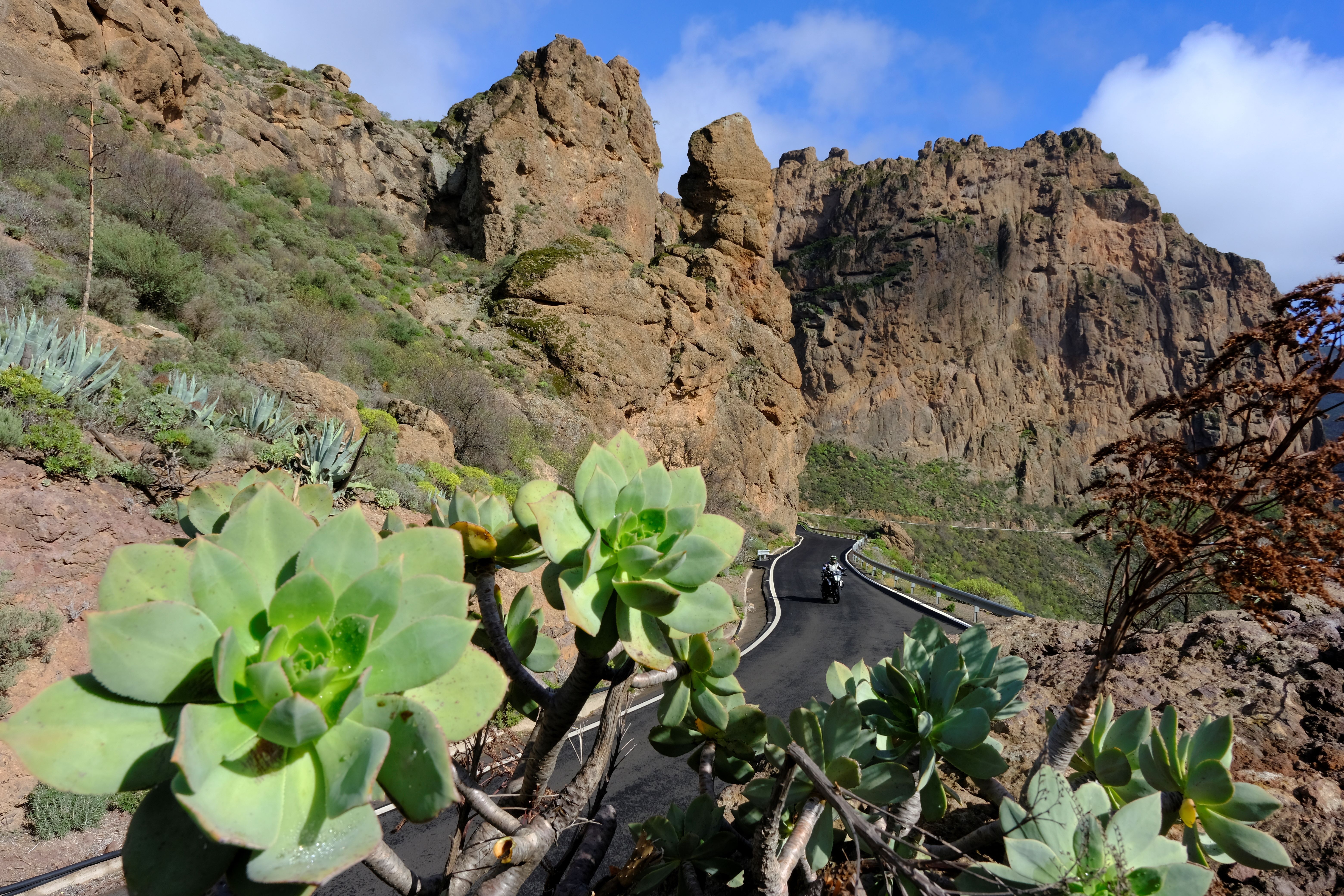 Viaje Gran Canaria (5)
