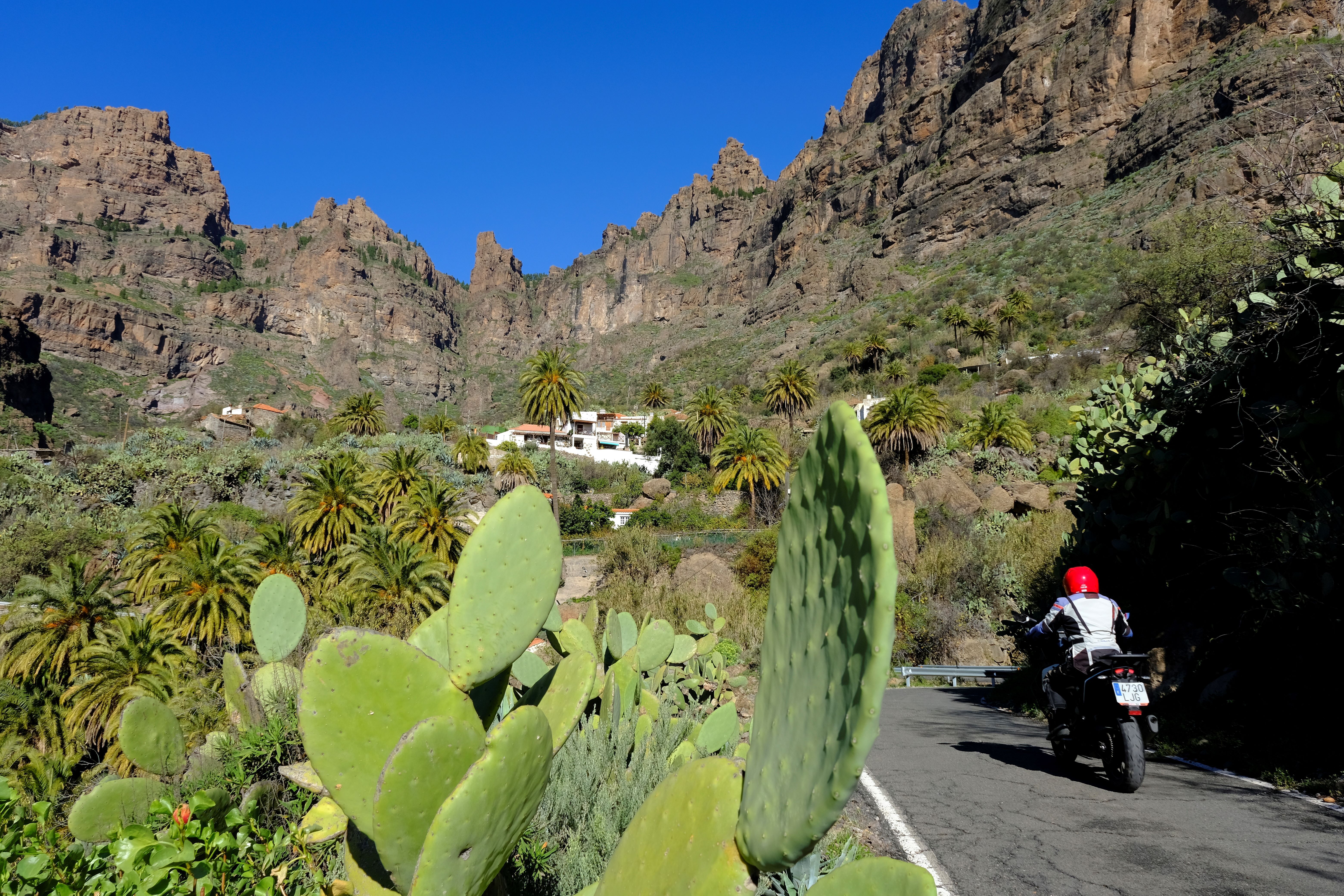 Viaje Gran Canaria (9)