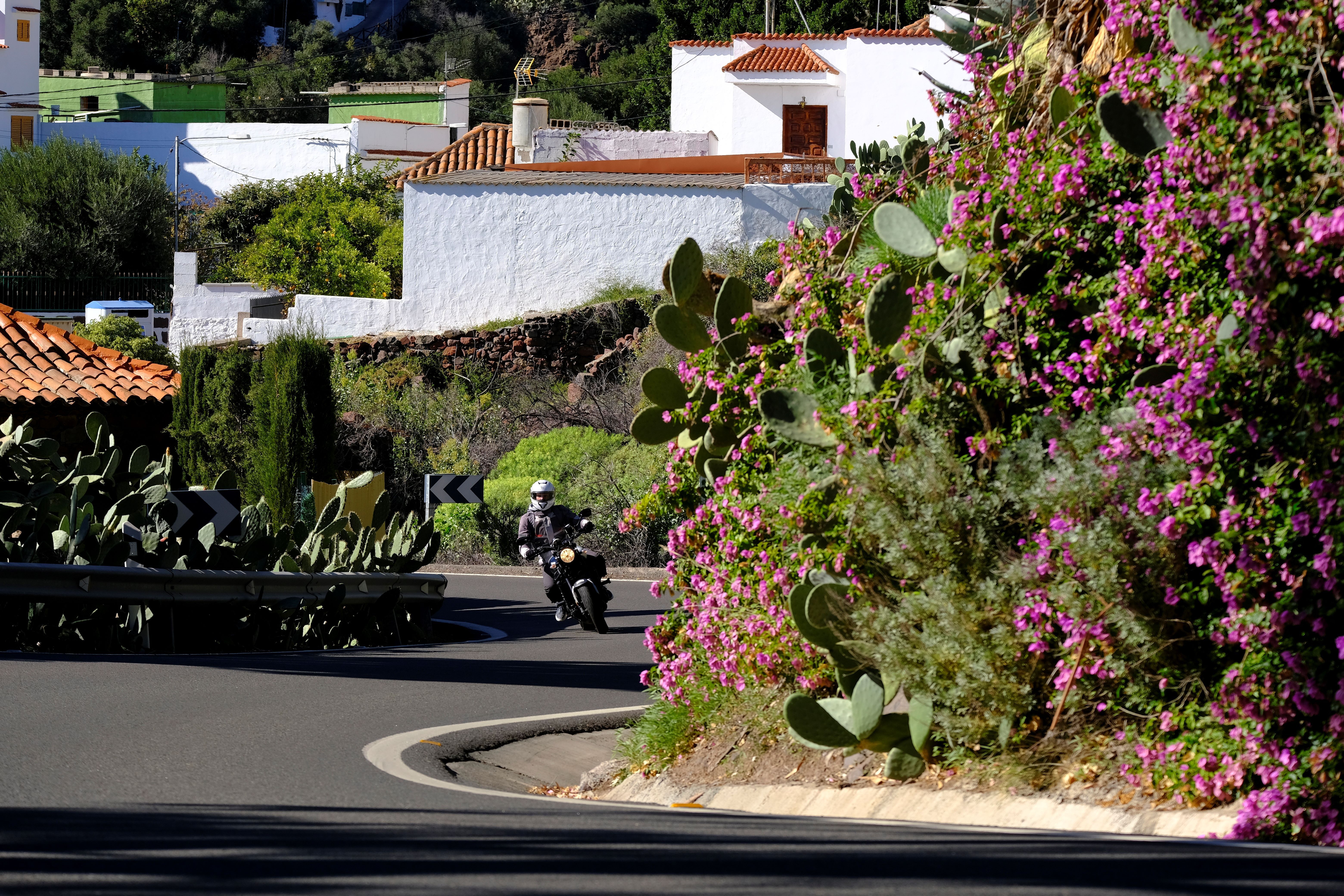 Viaje Gran Canaria (16)