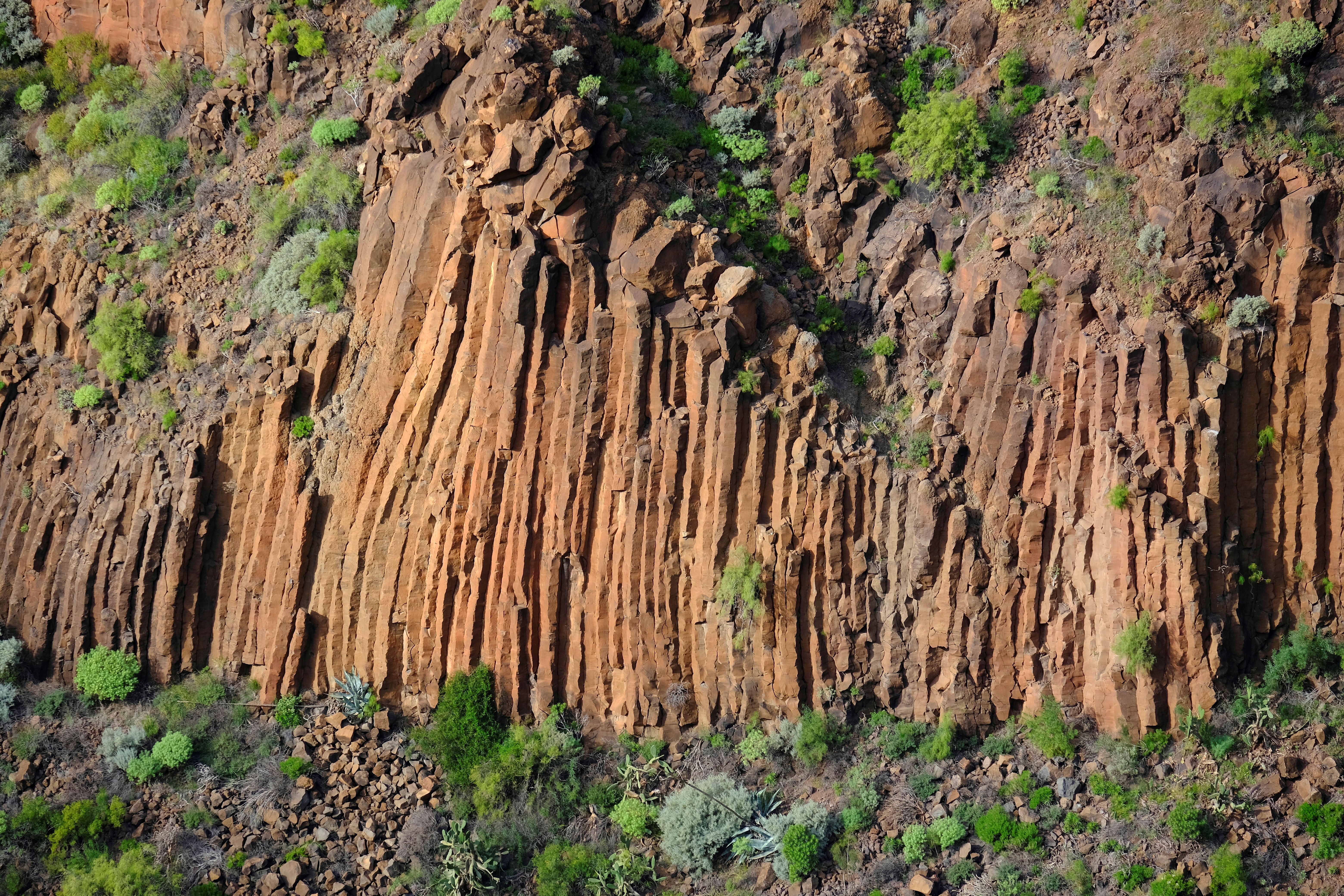 Viaje Gran Canaria (20)