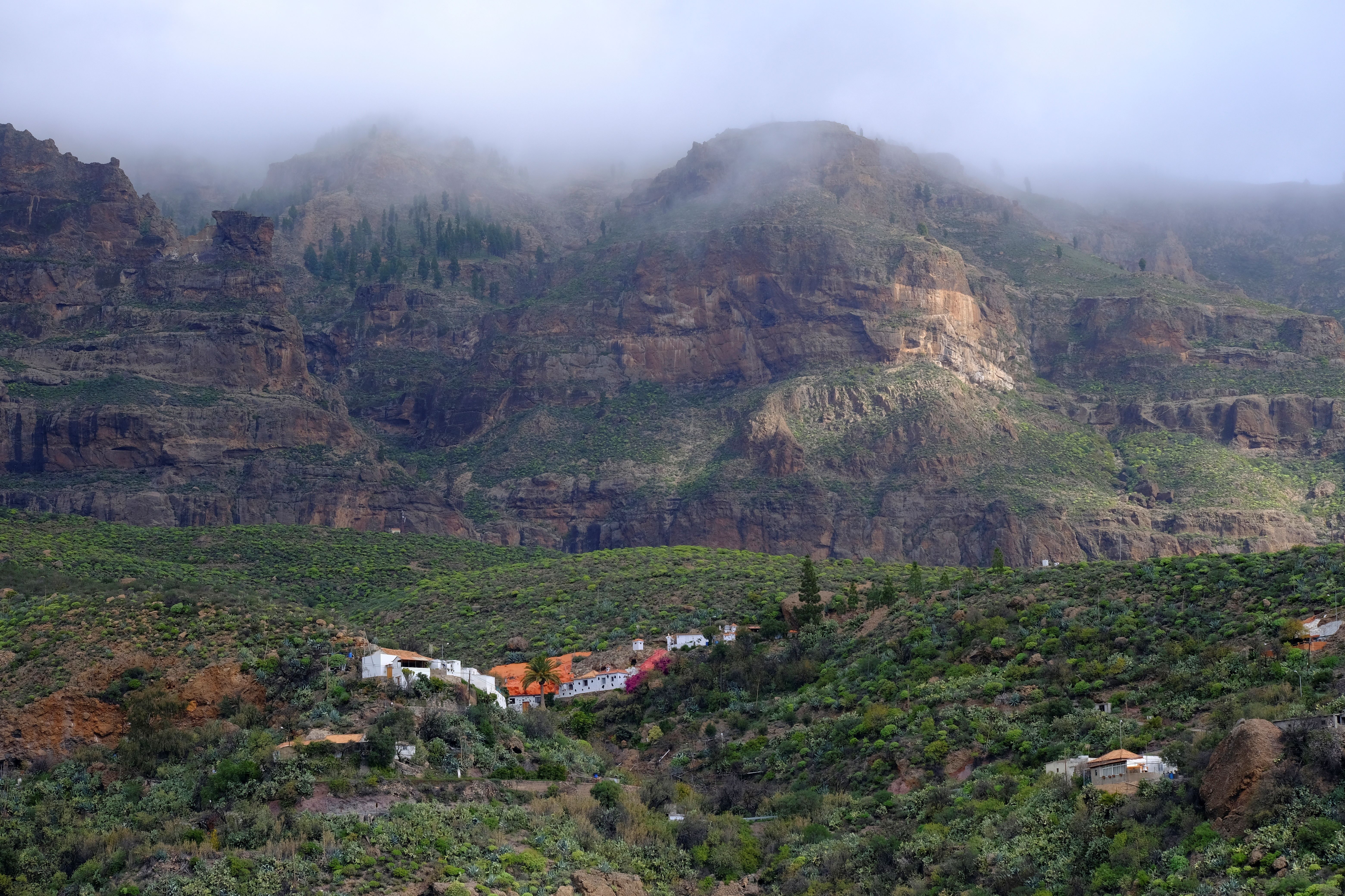 Viaje Gran Canaria (21)