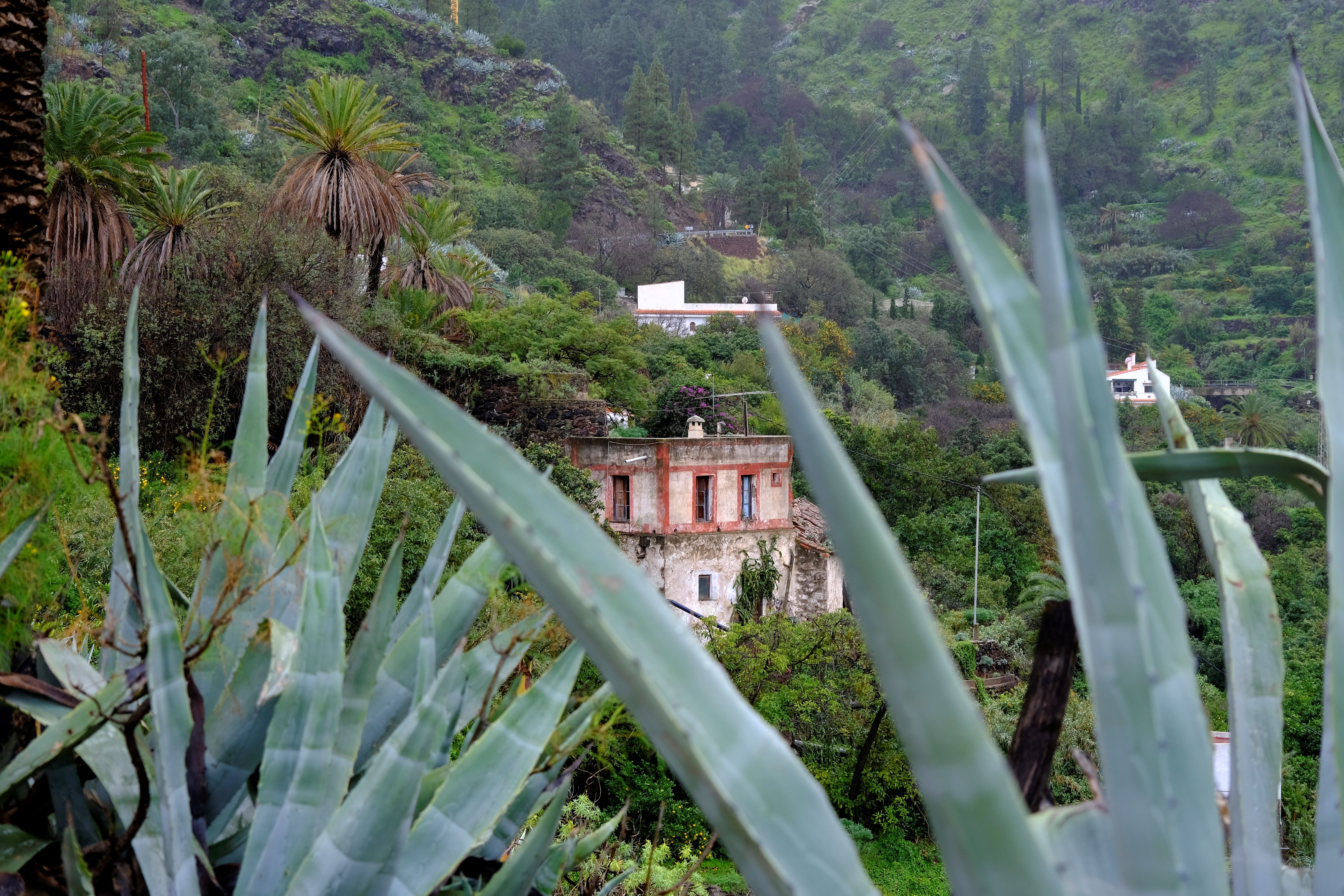Viaje Gran Canaria (27)