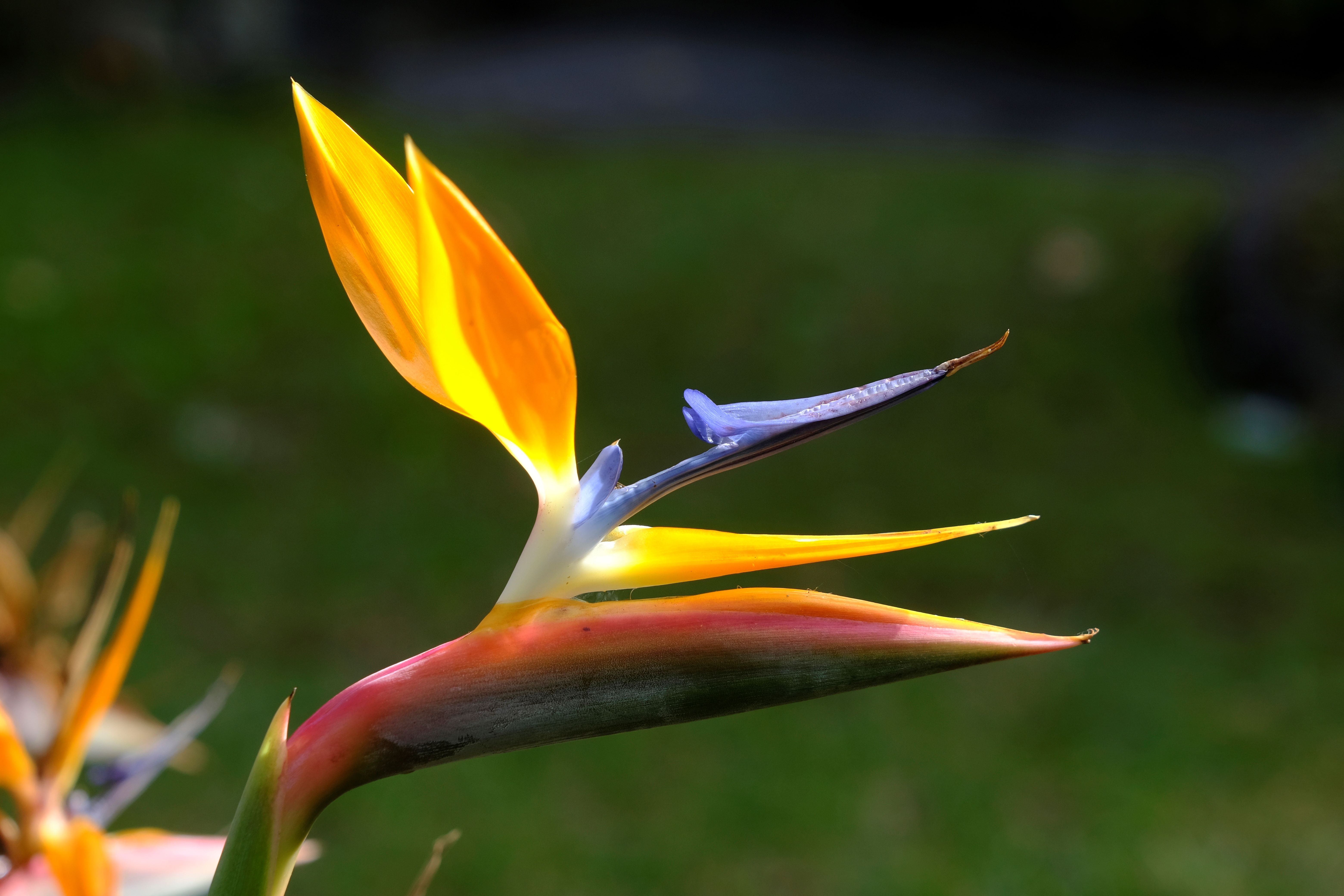 Viaje Gran Canaria (44)