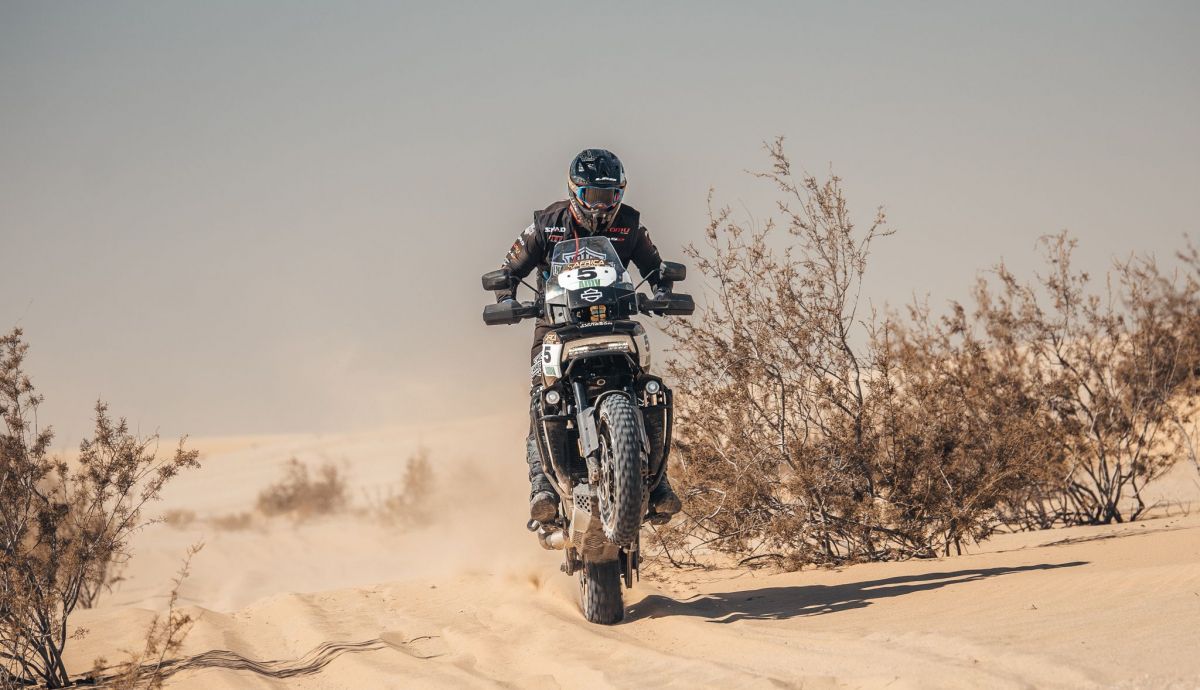 H D Pan America 1250 Joan Pedroro Africa Eco Race 2025 (1)