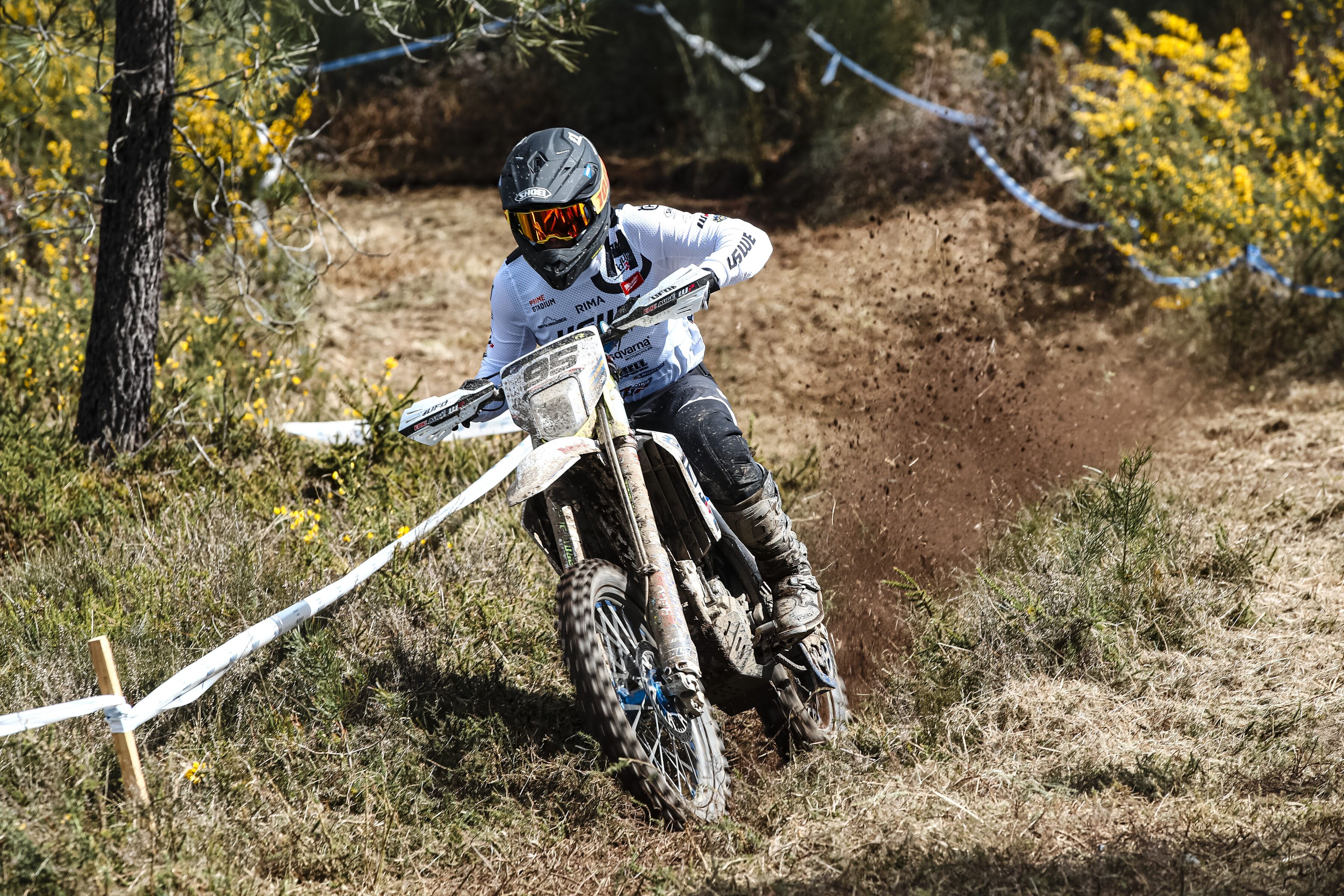 albin elowson 250315 CEE Panton 0948