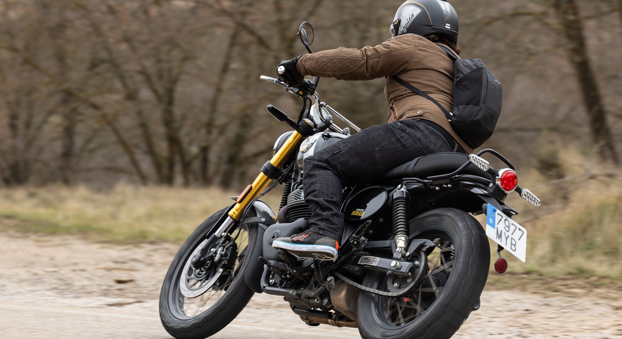 Royal Enfield Bear 650 Golden Shadow