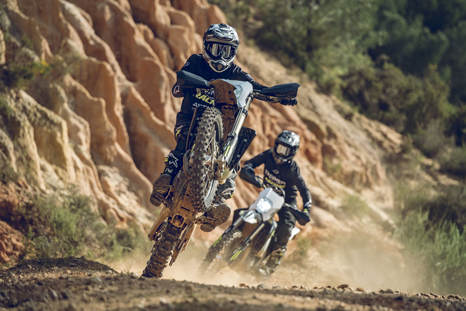 Fotos Triumph TF 250-E y TF 450-E