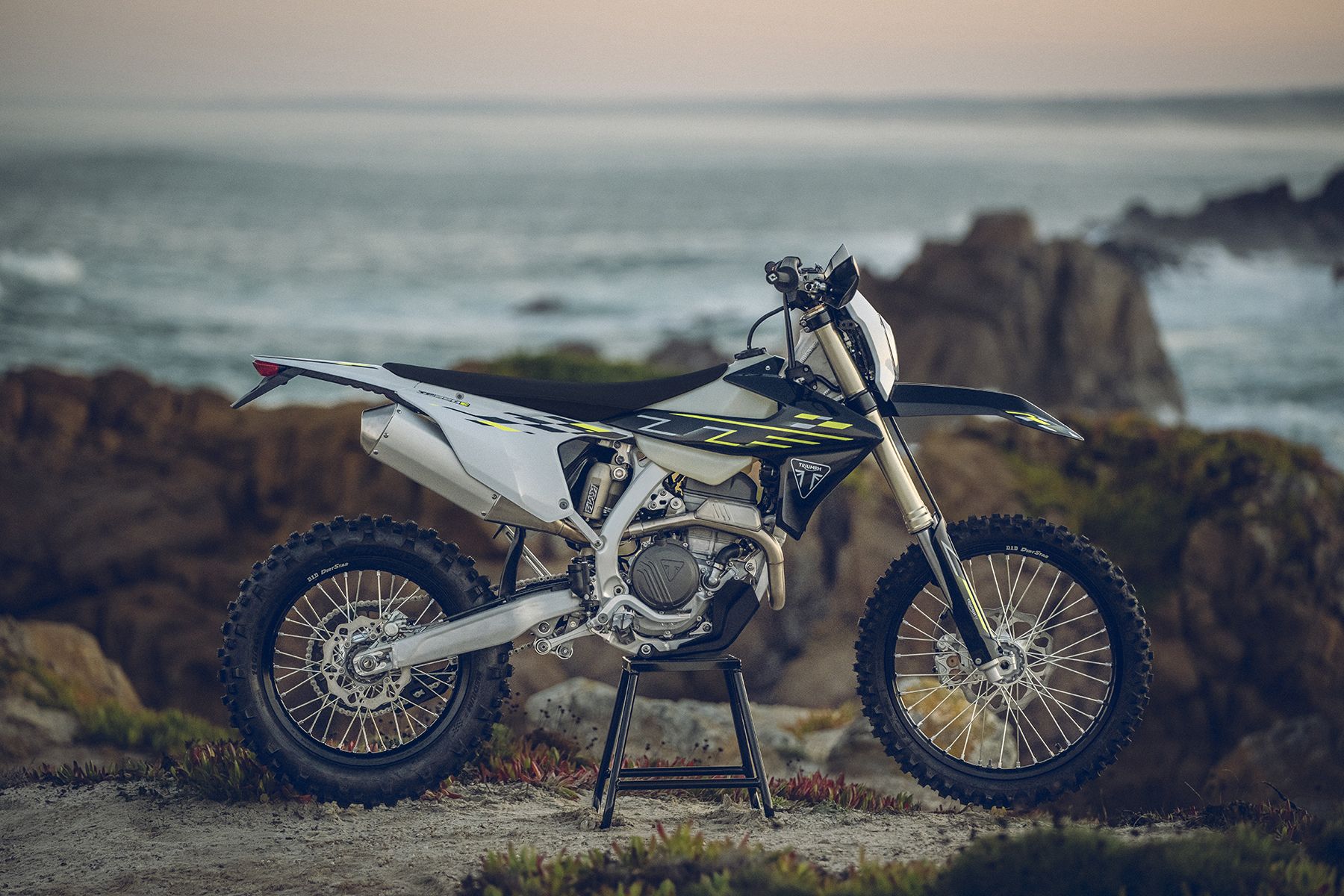 Fotos Triumph TF 250-E y TF 450-E