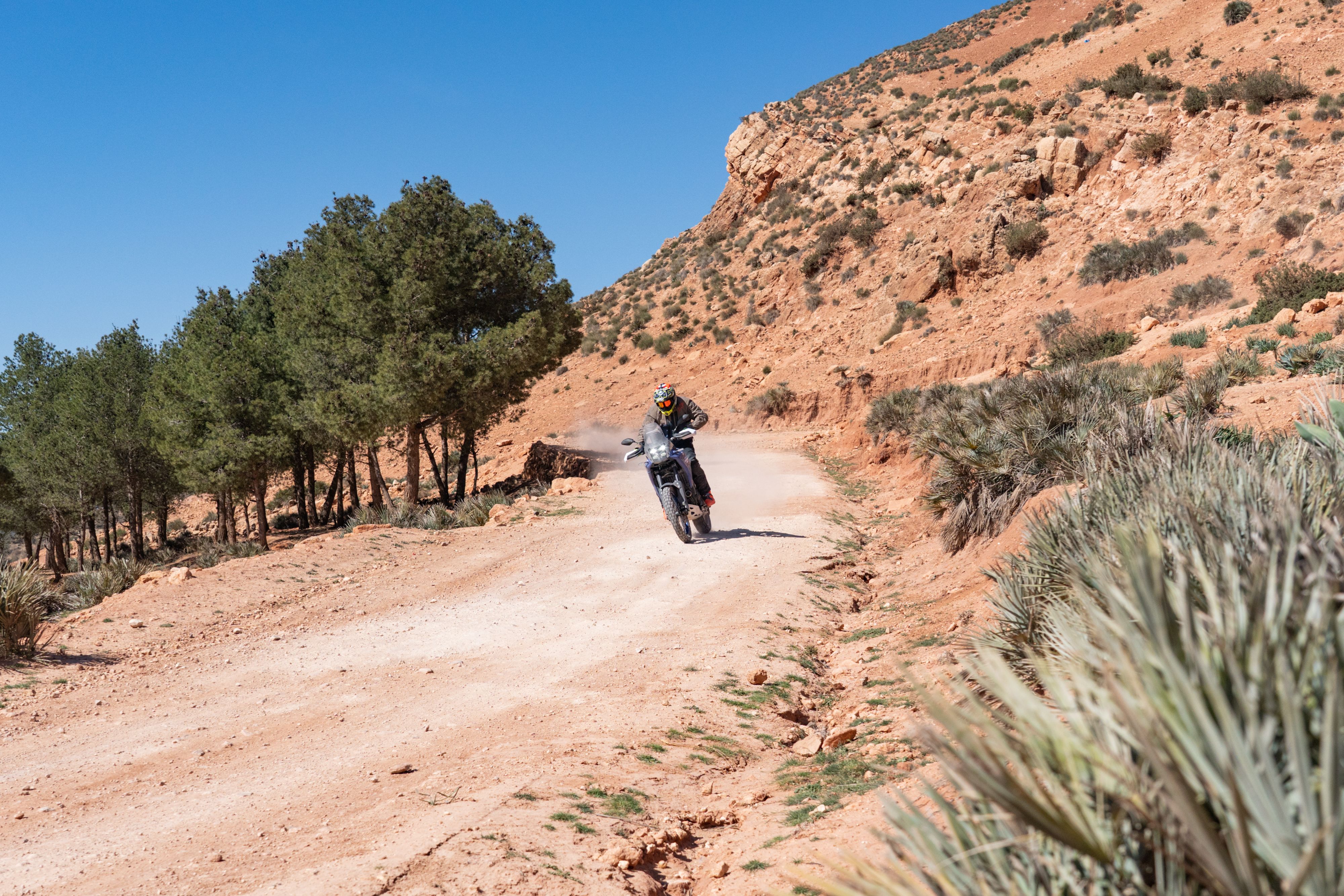 Fotos Yamaha Ténéré 700 2025.