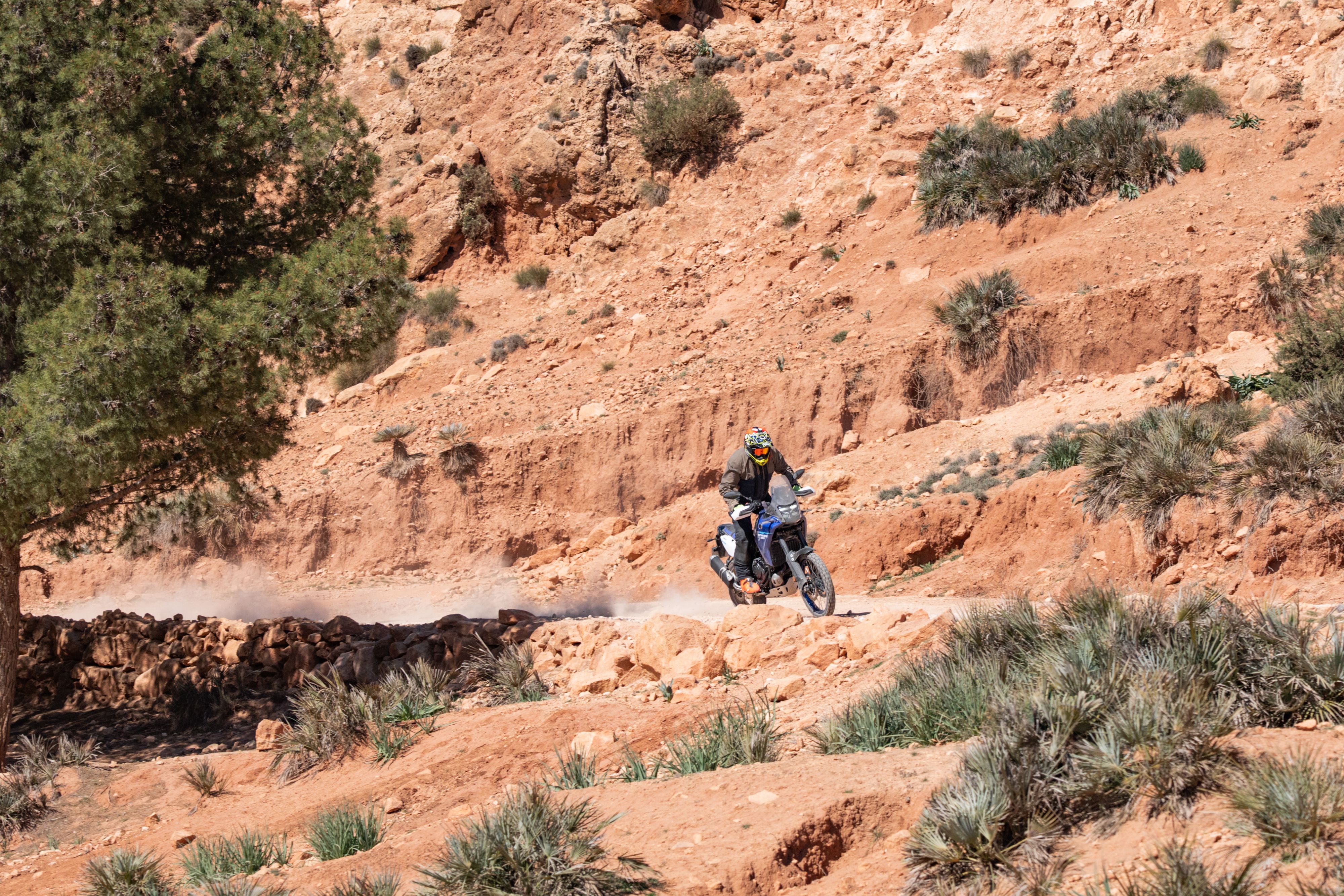 Fotos Yamaha Ténéré 700 2025.