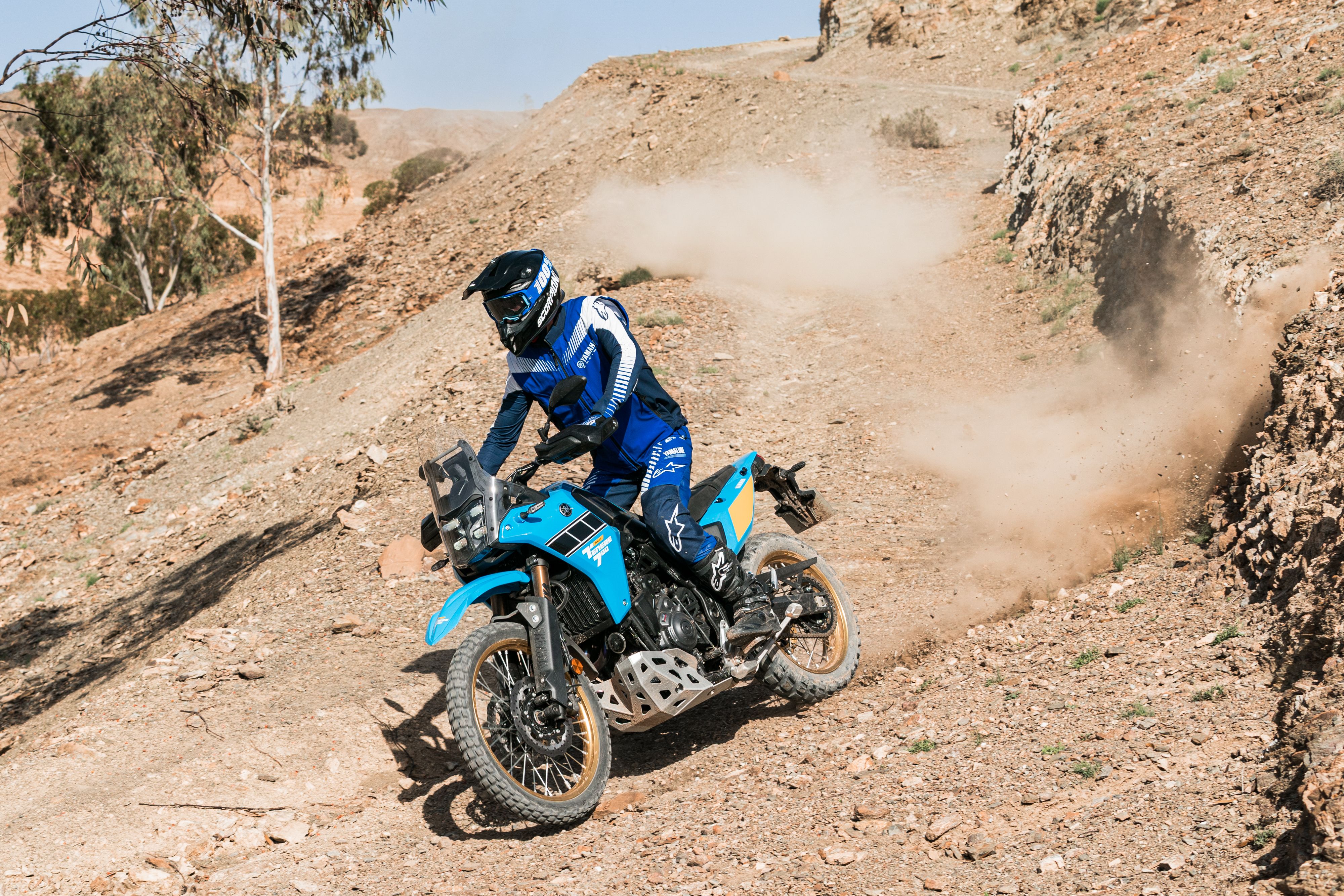Fotos Yamaha Ténéré 700 Rally 2025.
