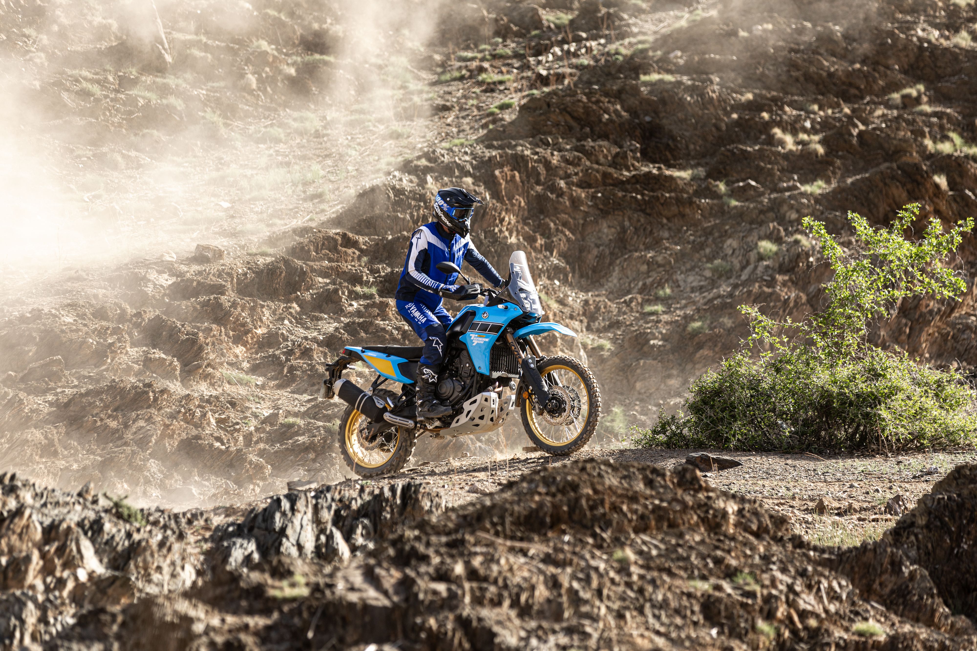 Fotos Yamaha Ténéré 700 Rally 2025.