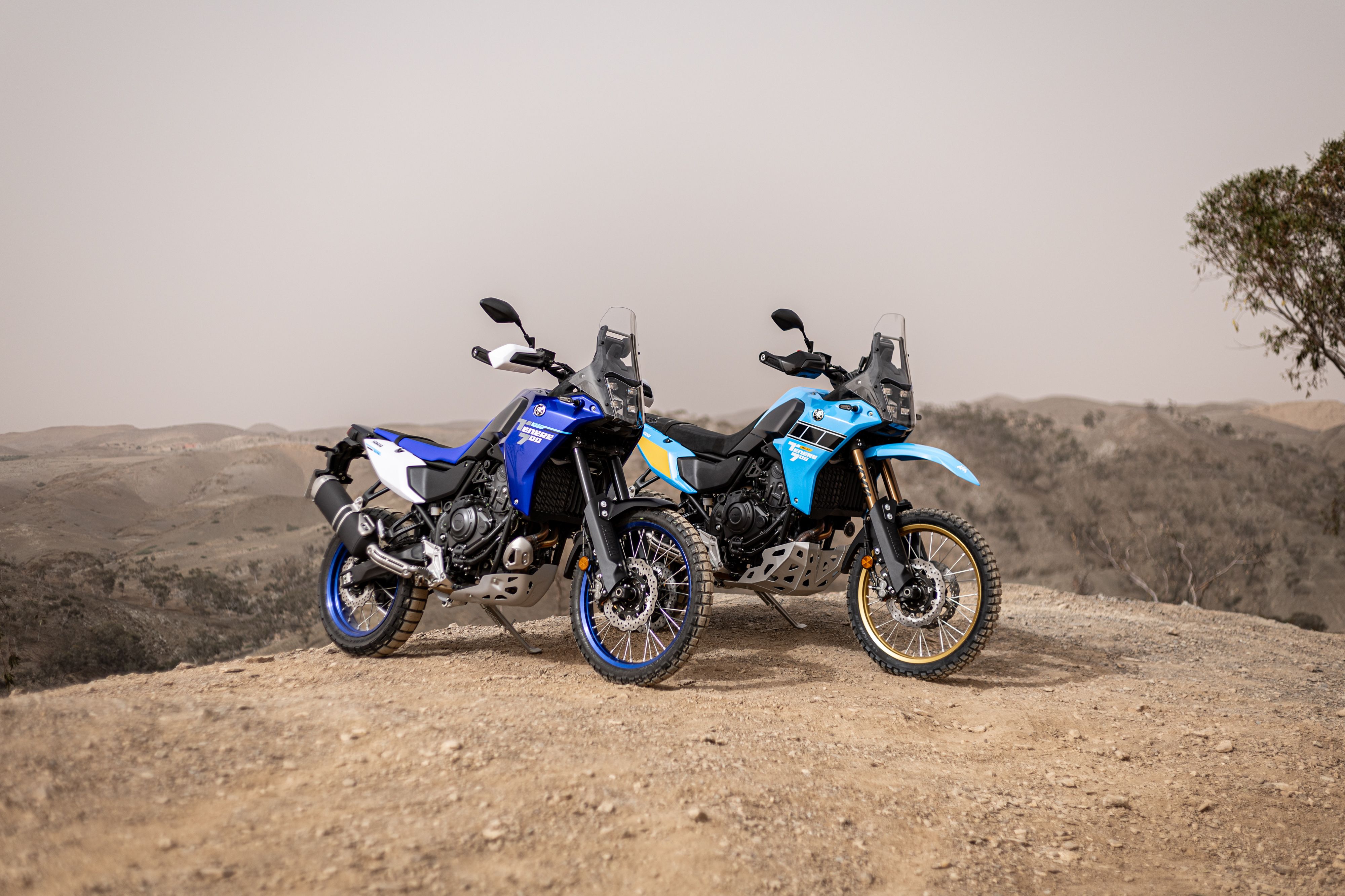 Fotos Yamaha Ténéré 700 Rally 2025.