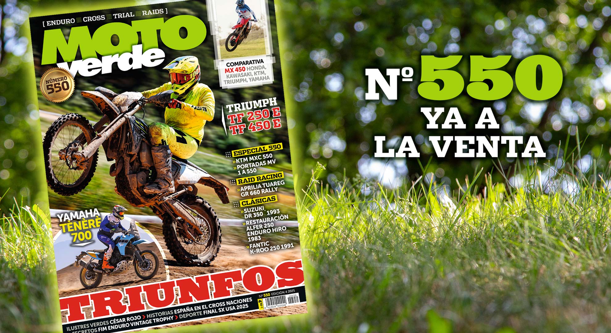 Moto Verde 550 (1)