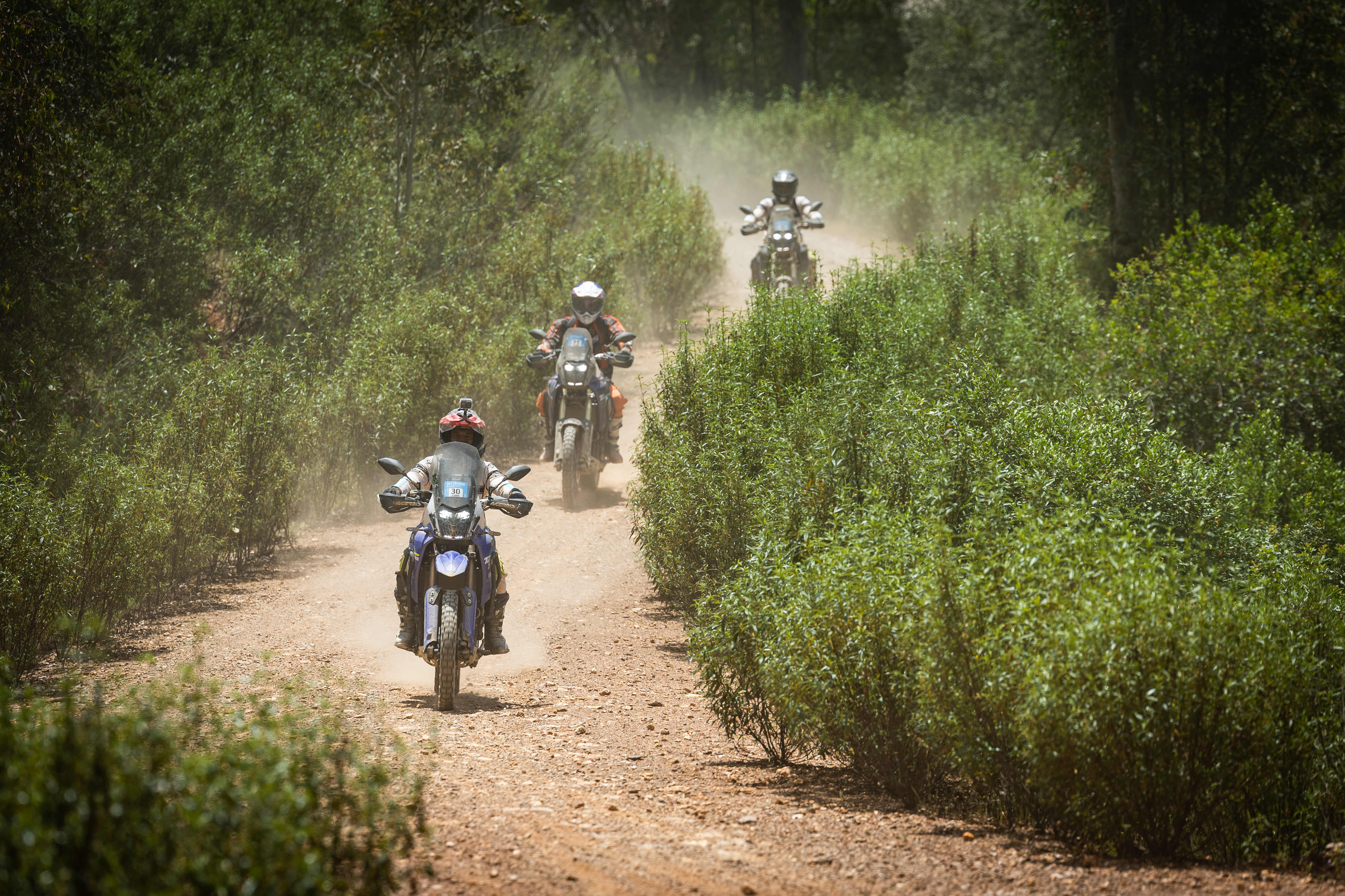 Fotos Yamaha Ténéré Spirit 2025