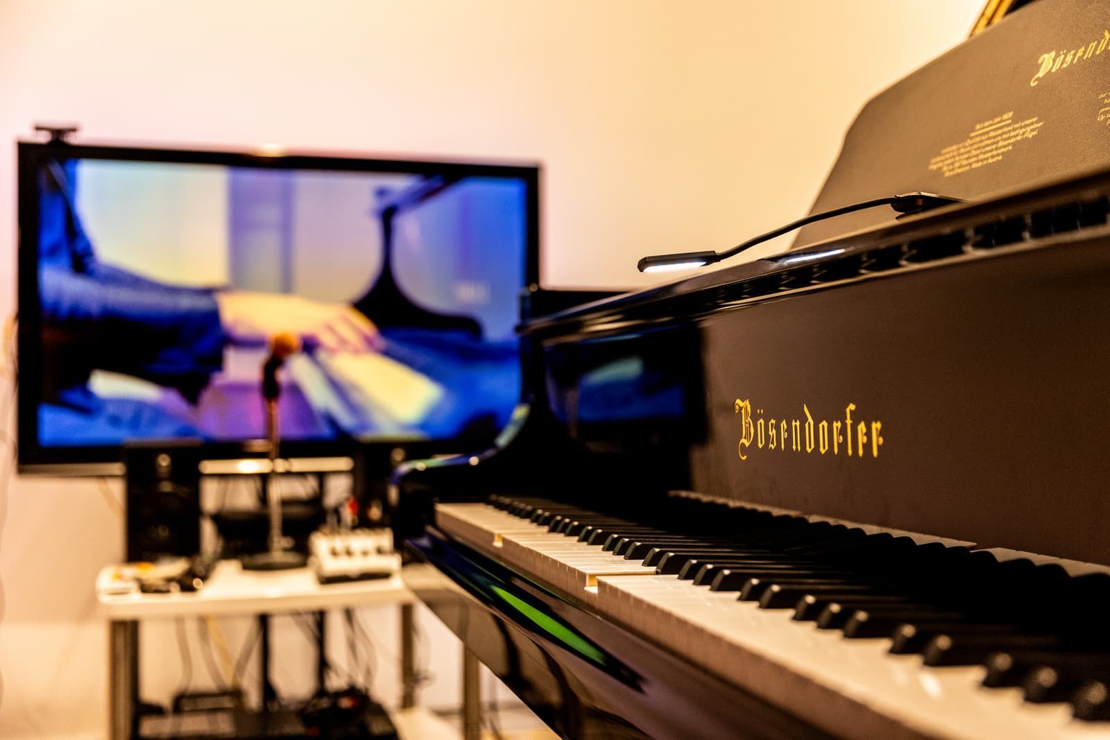 Two Yamaha One Passion (8)