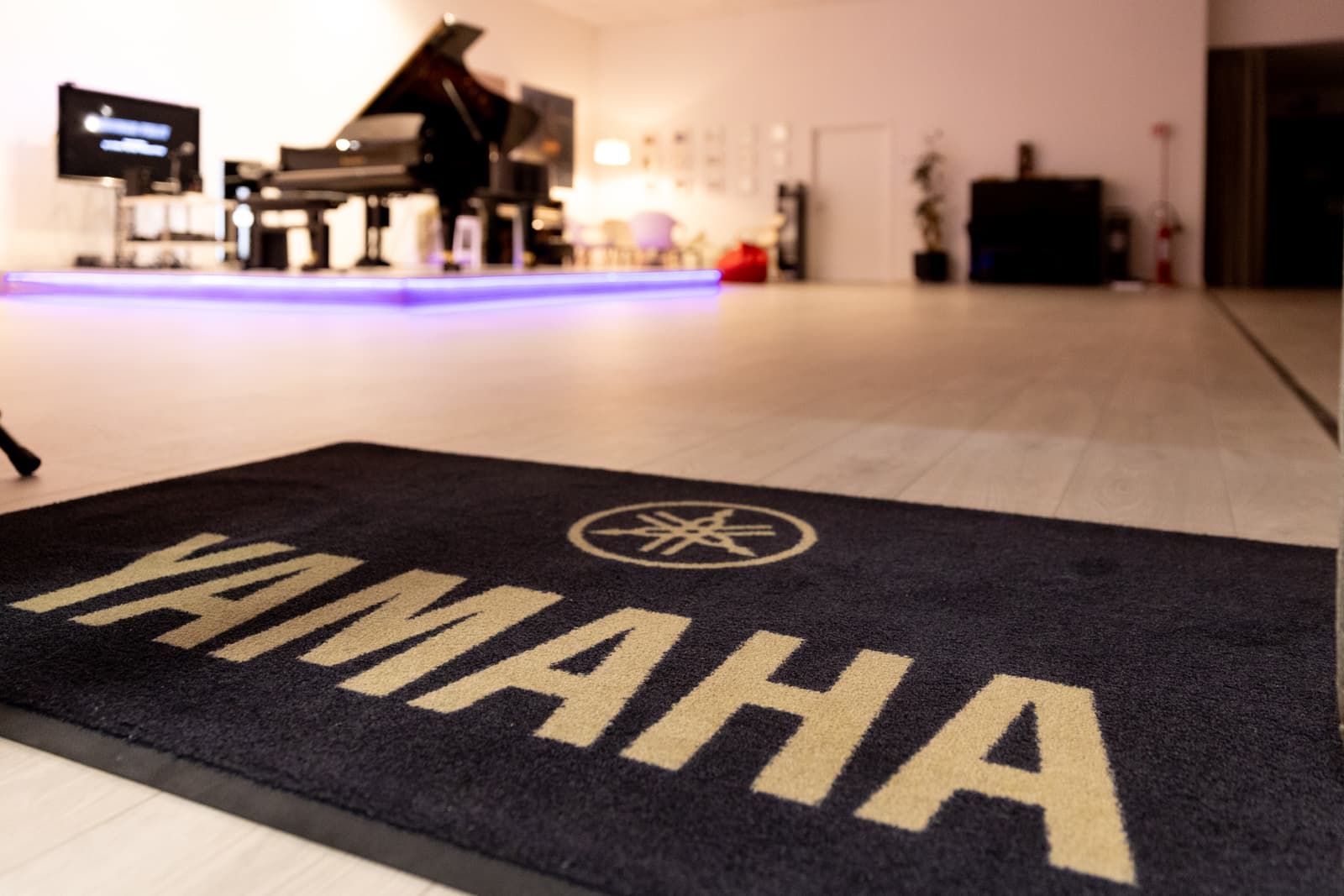 Two Yamaha One Passion (15)