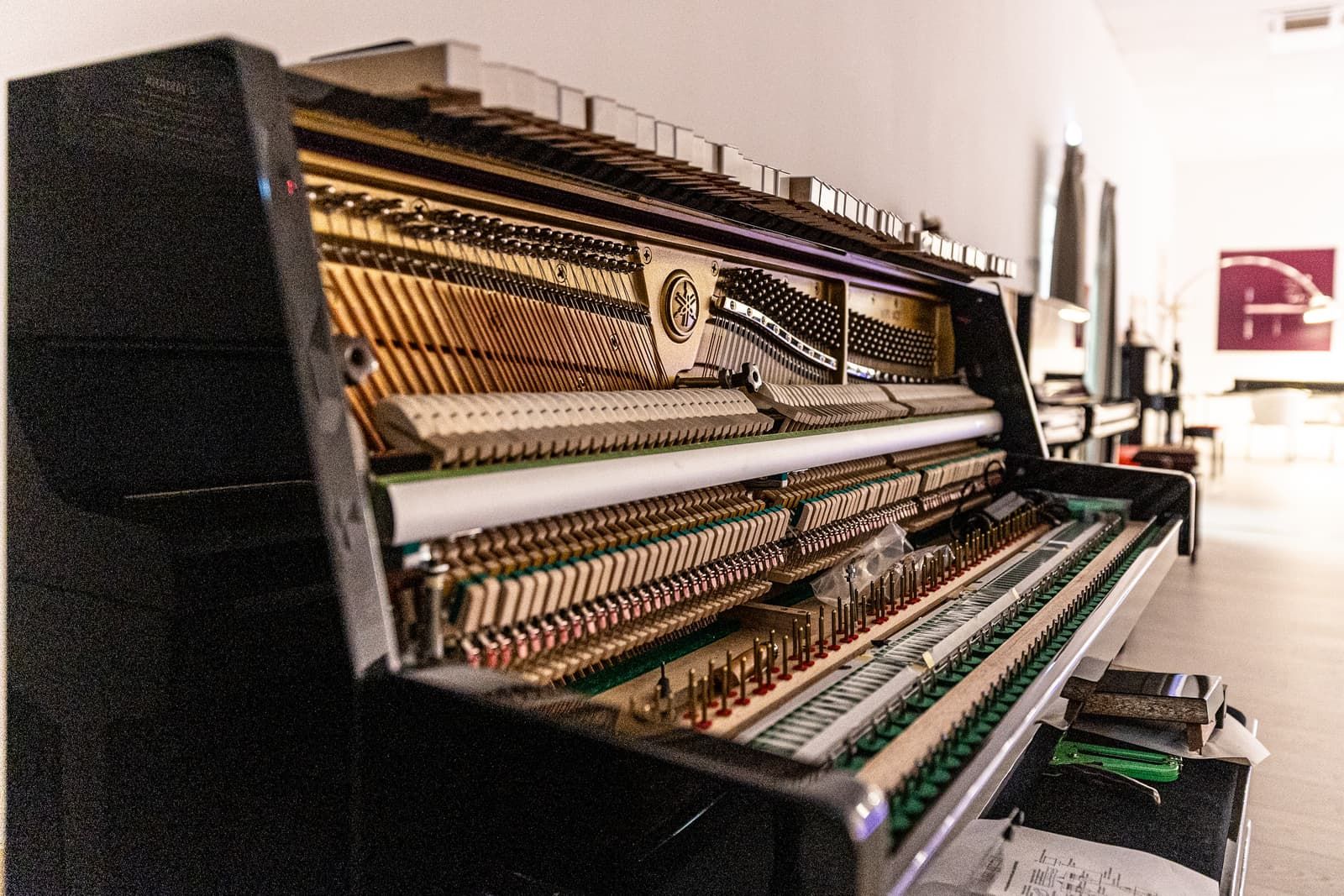 Two Yamaha One Passion (17)