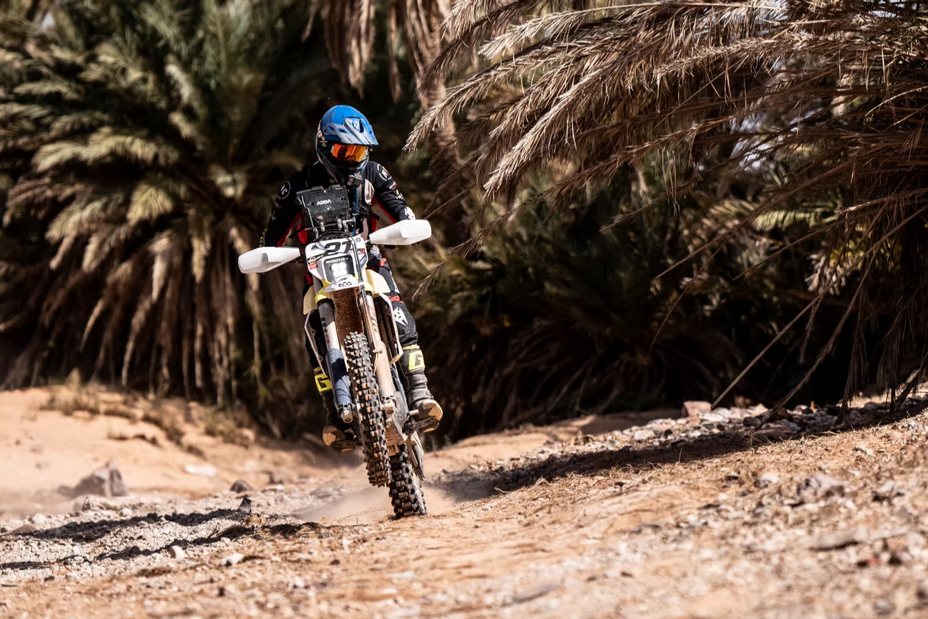 Fotos Addax Rally